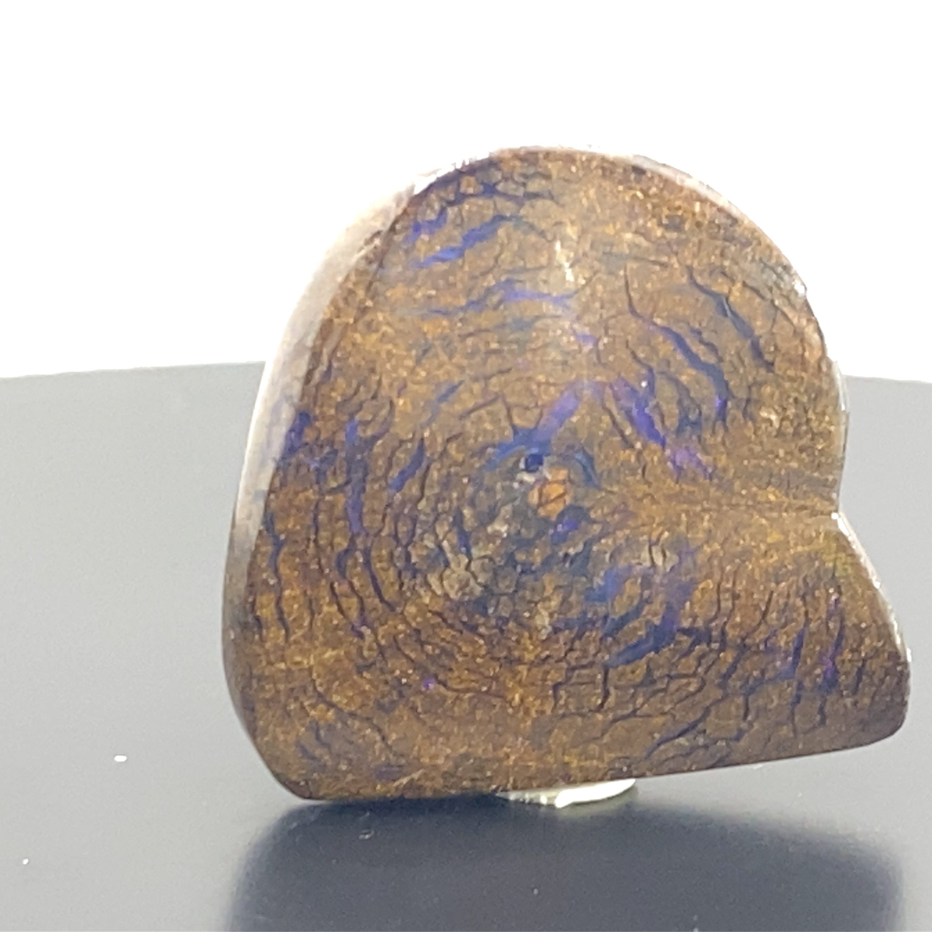 Rooted in time, lit by light.