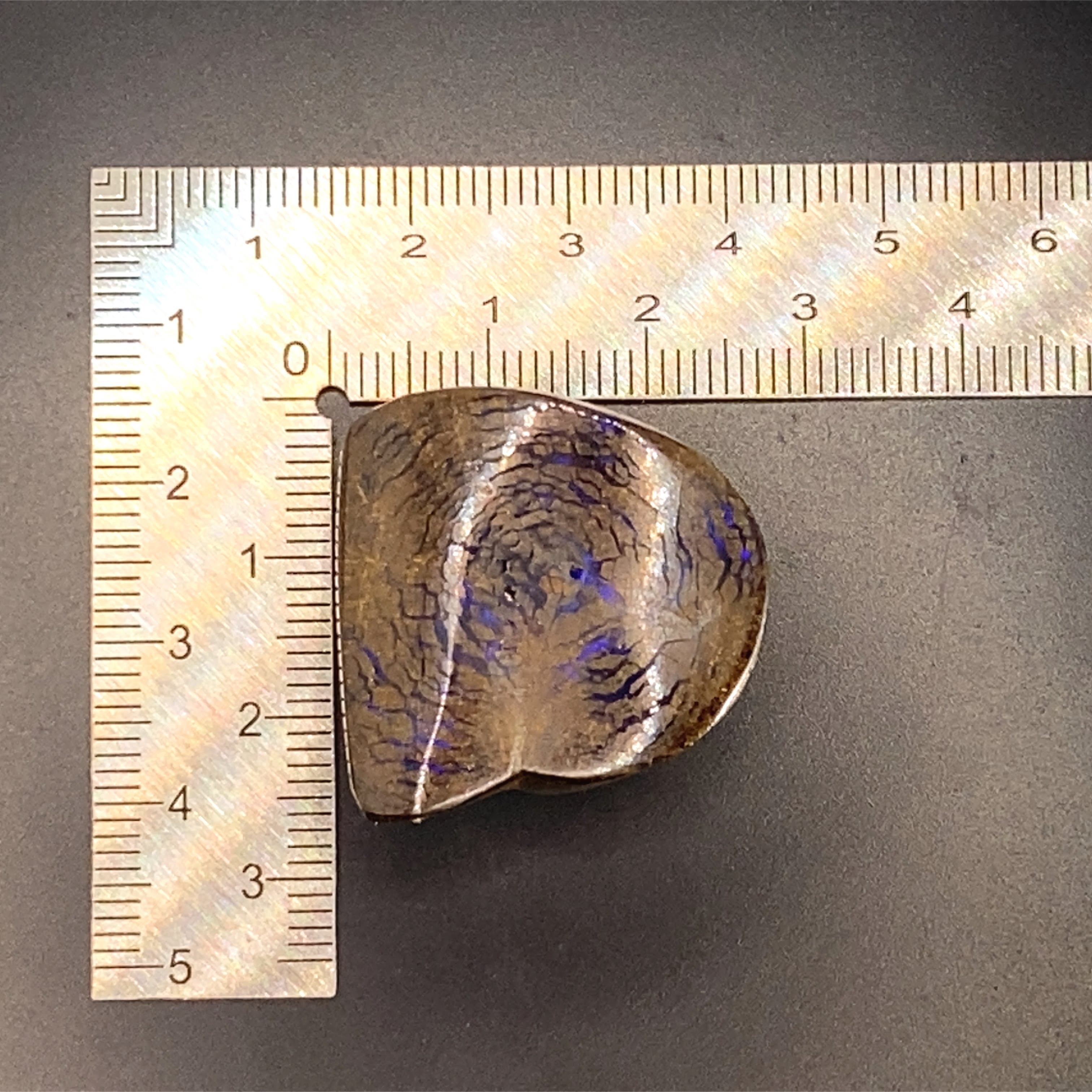 Rooted in time, lit by light.