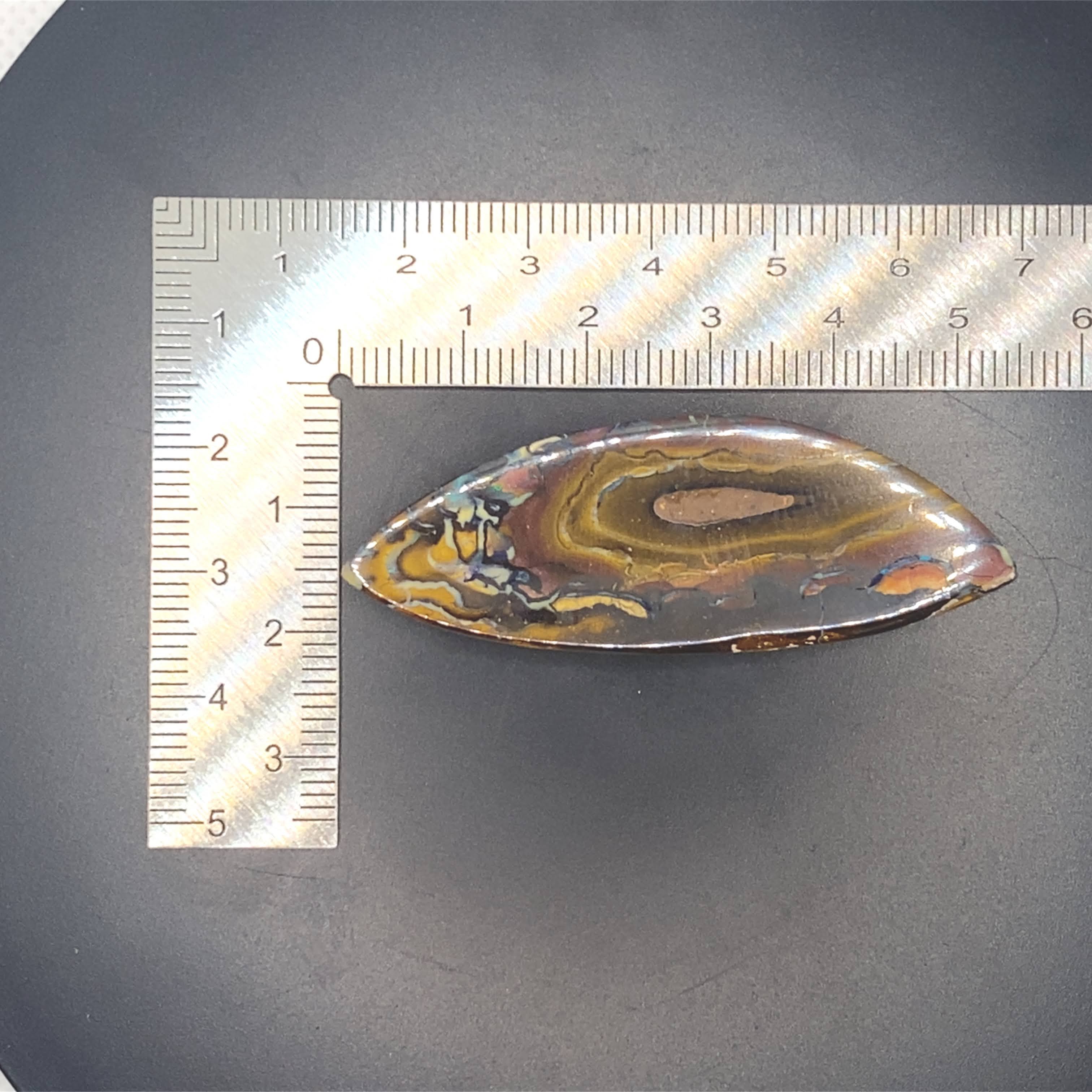 Nature’s handprint.