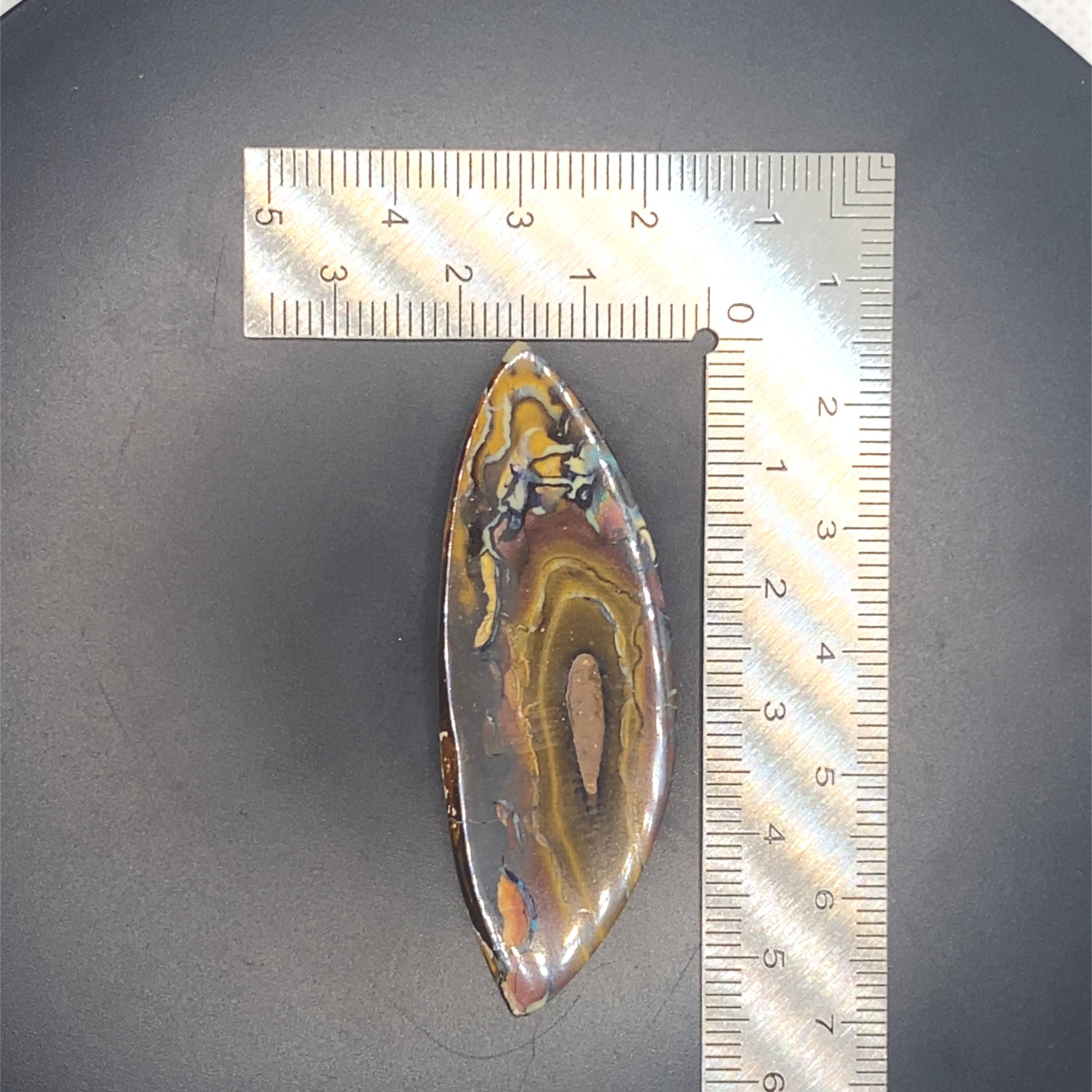 Nature’s handprint.