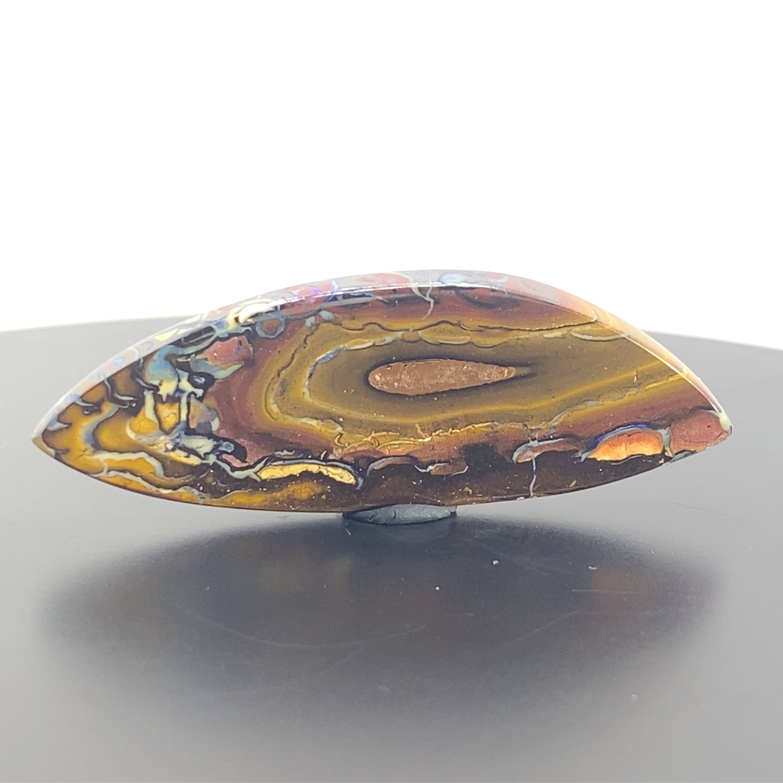 Nature’s handprint.