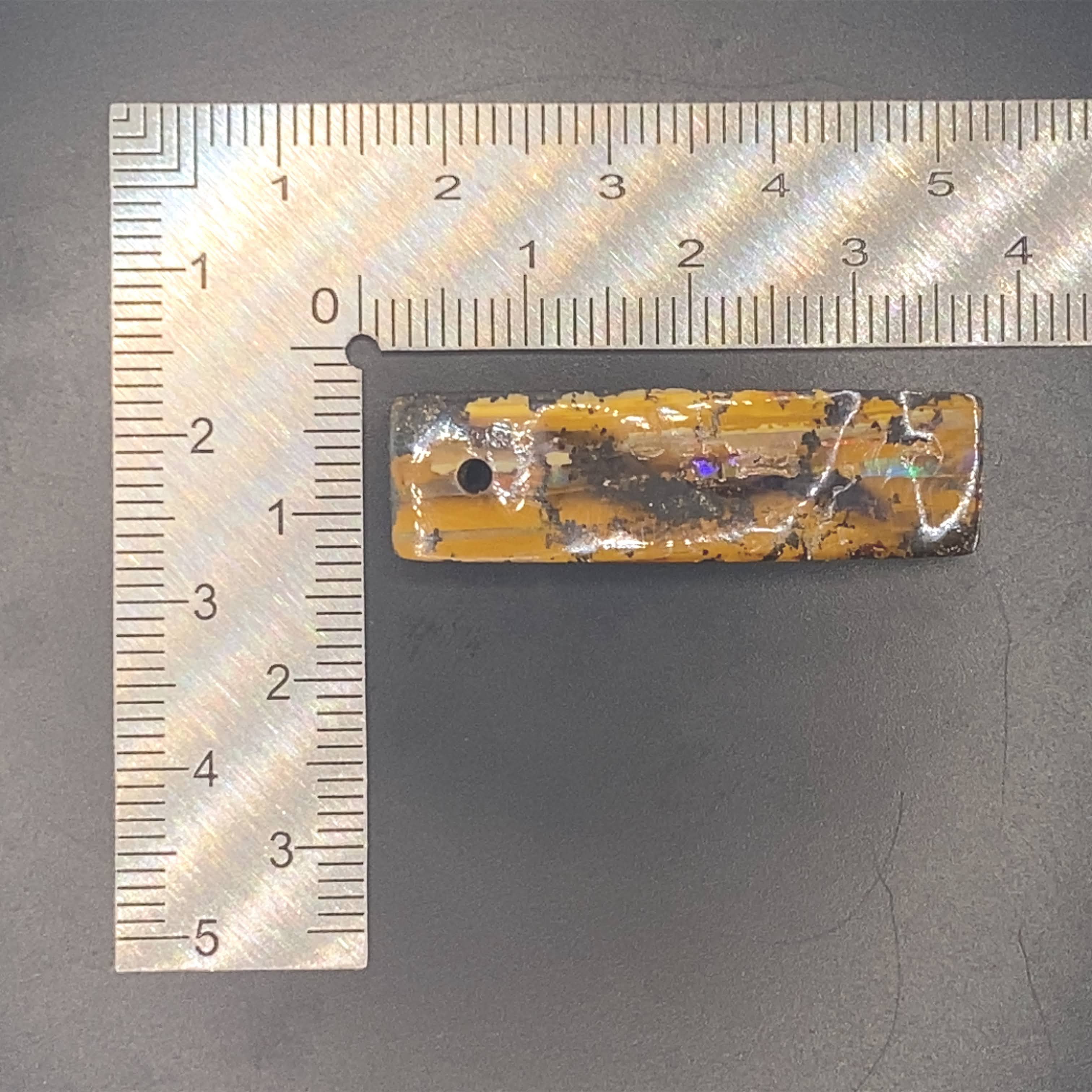 Where storm meets still wood.