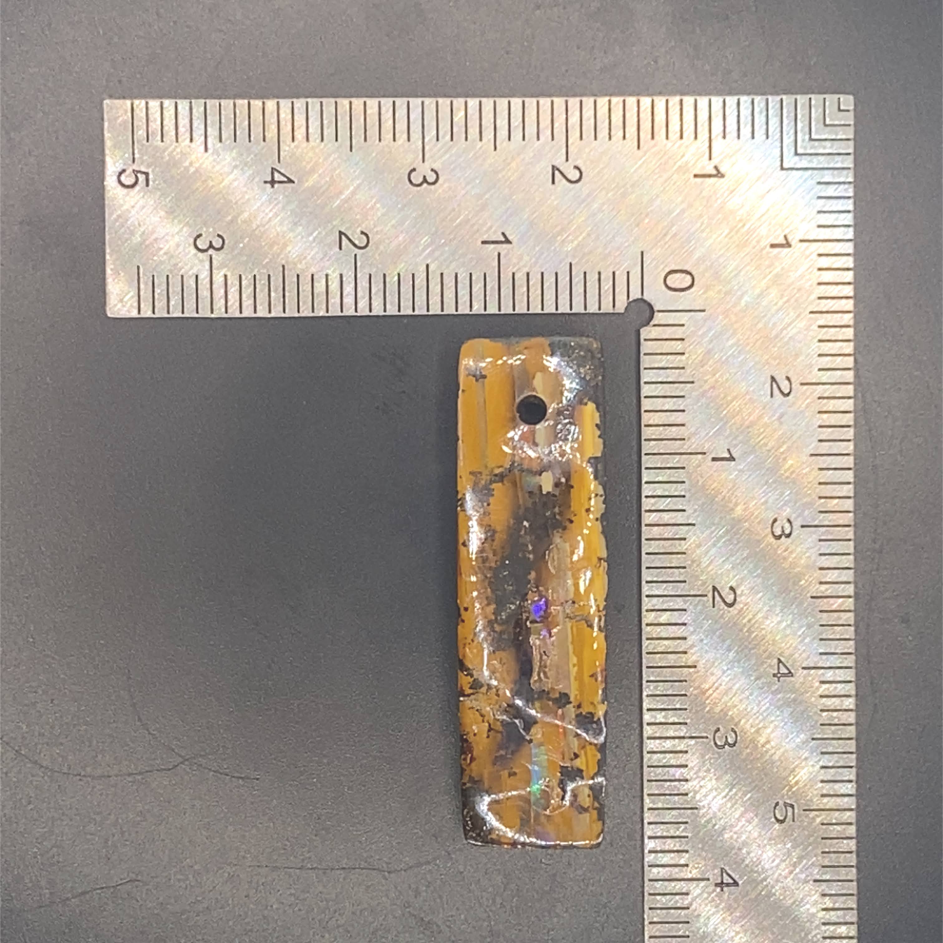 Where storm meets still wood.