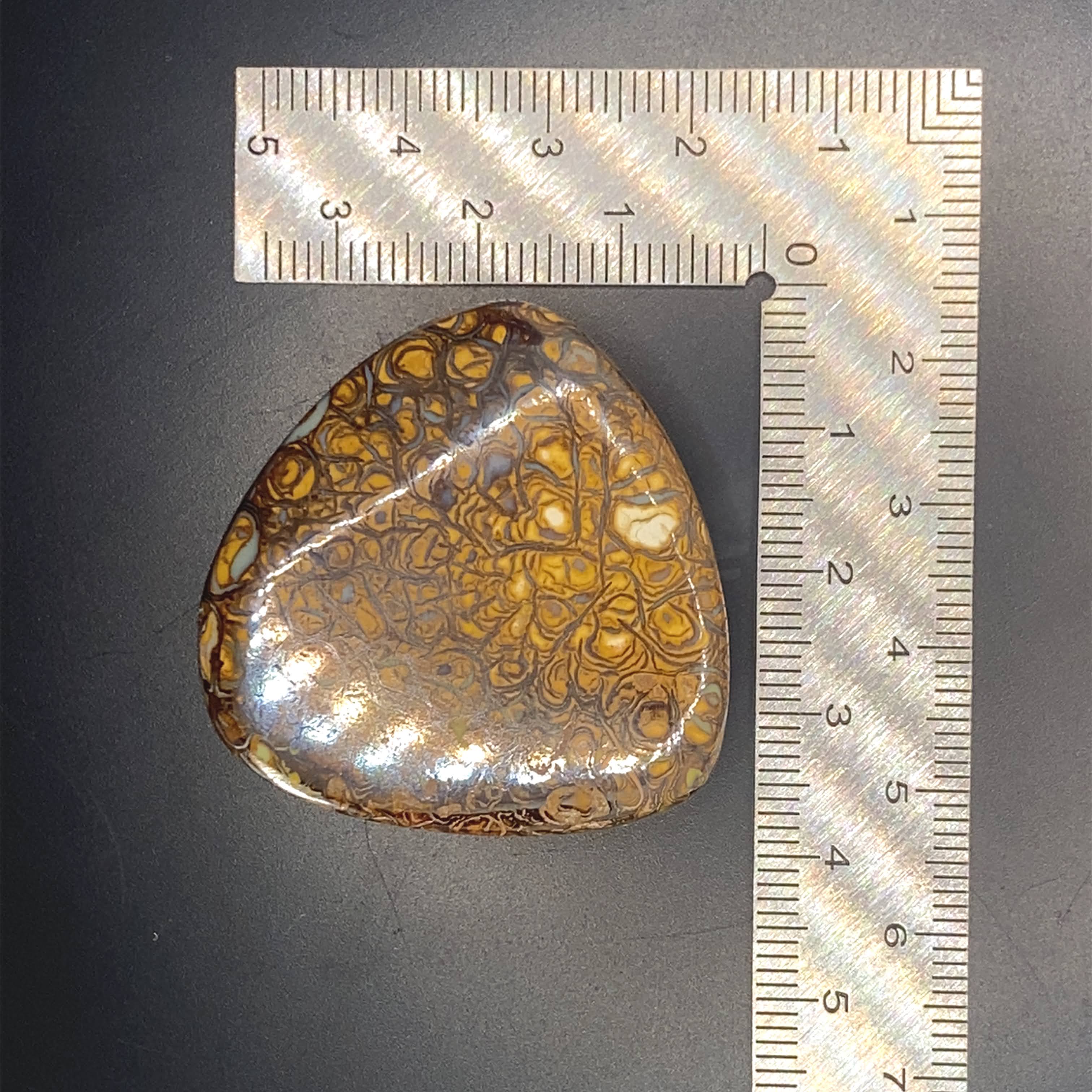 Stillness meets shimmer.