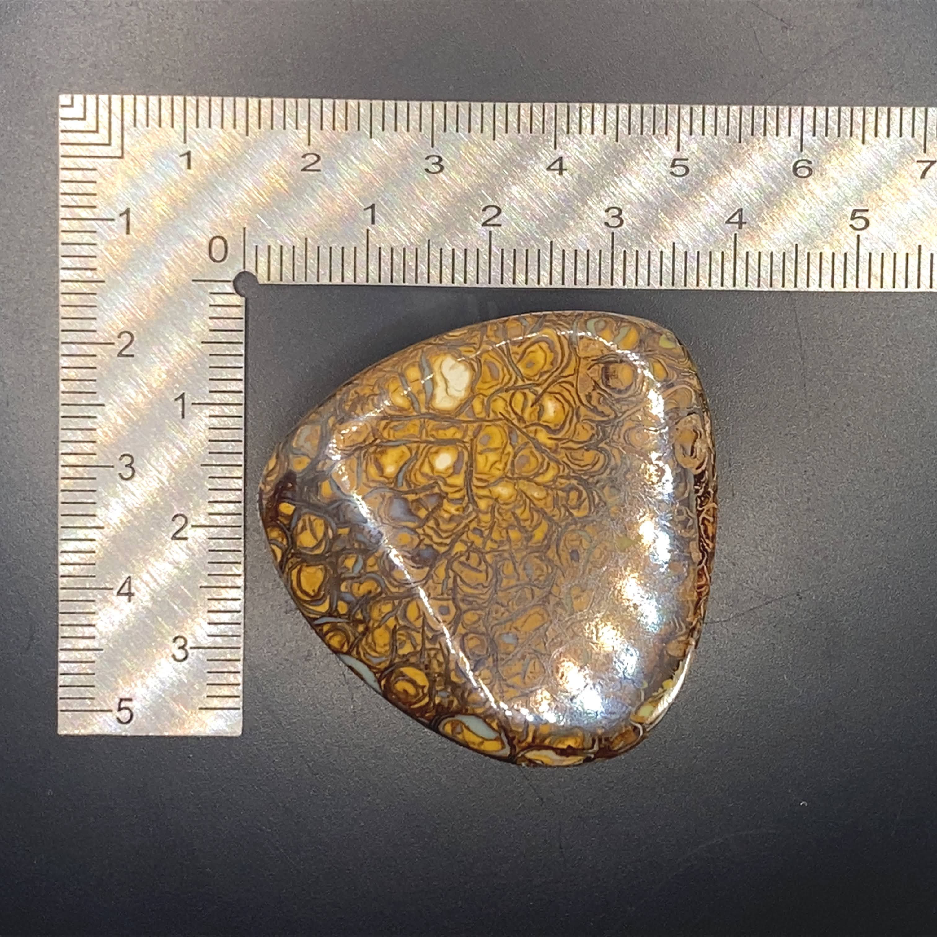 Stillness meets shimmer.