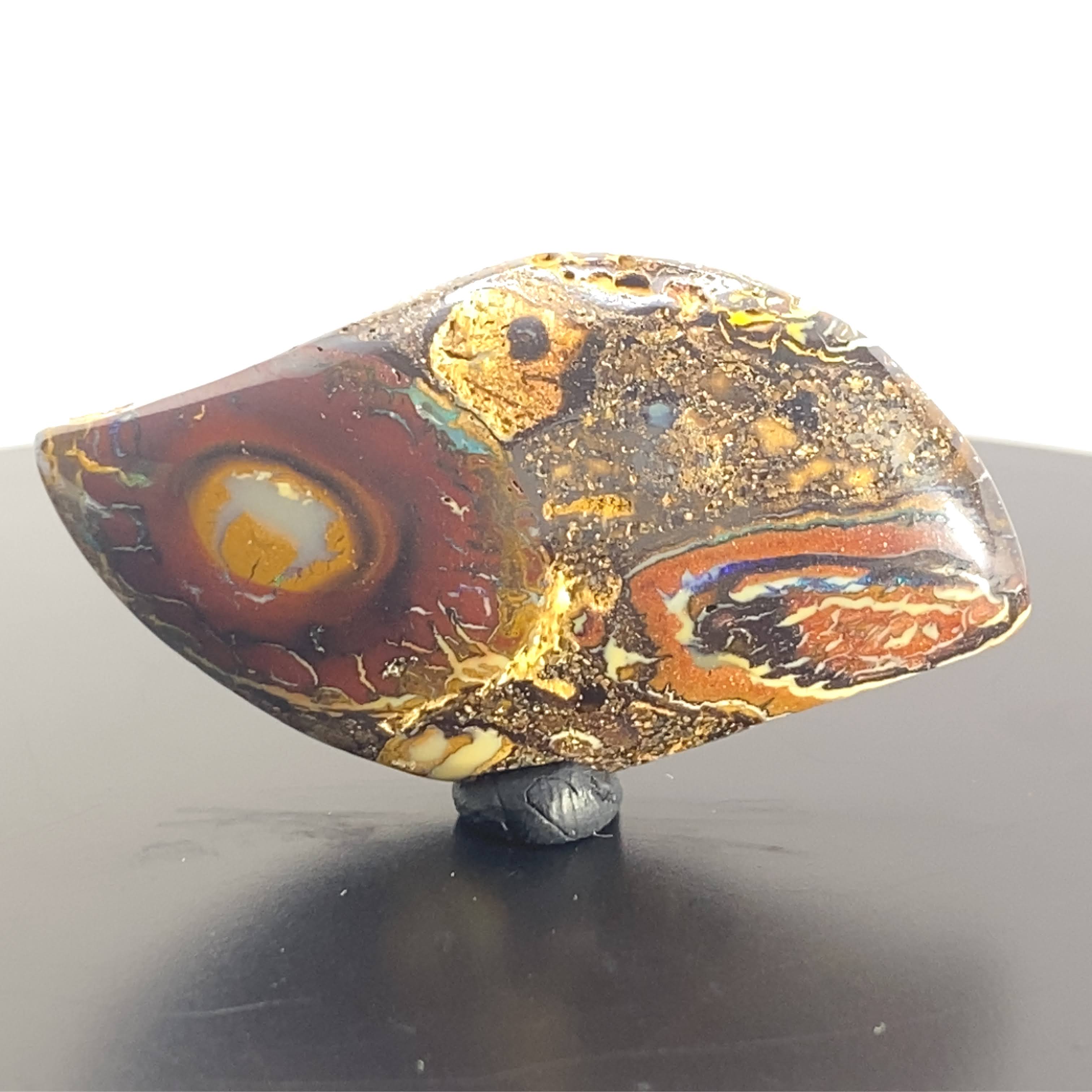 Wild, alive, and one of a kind.