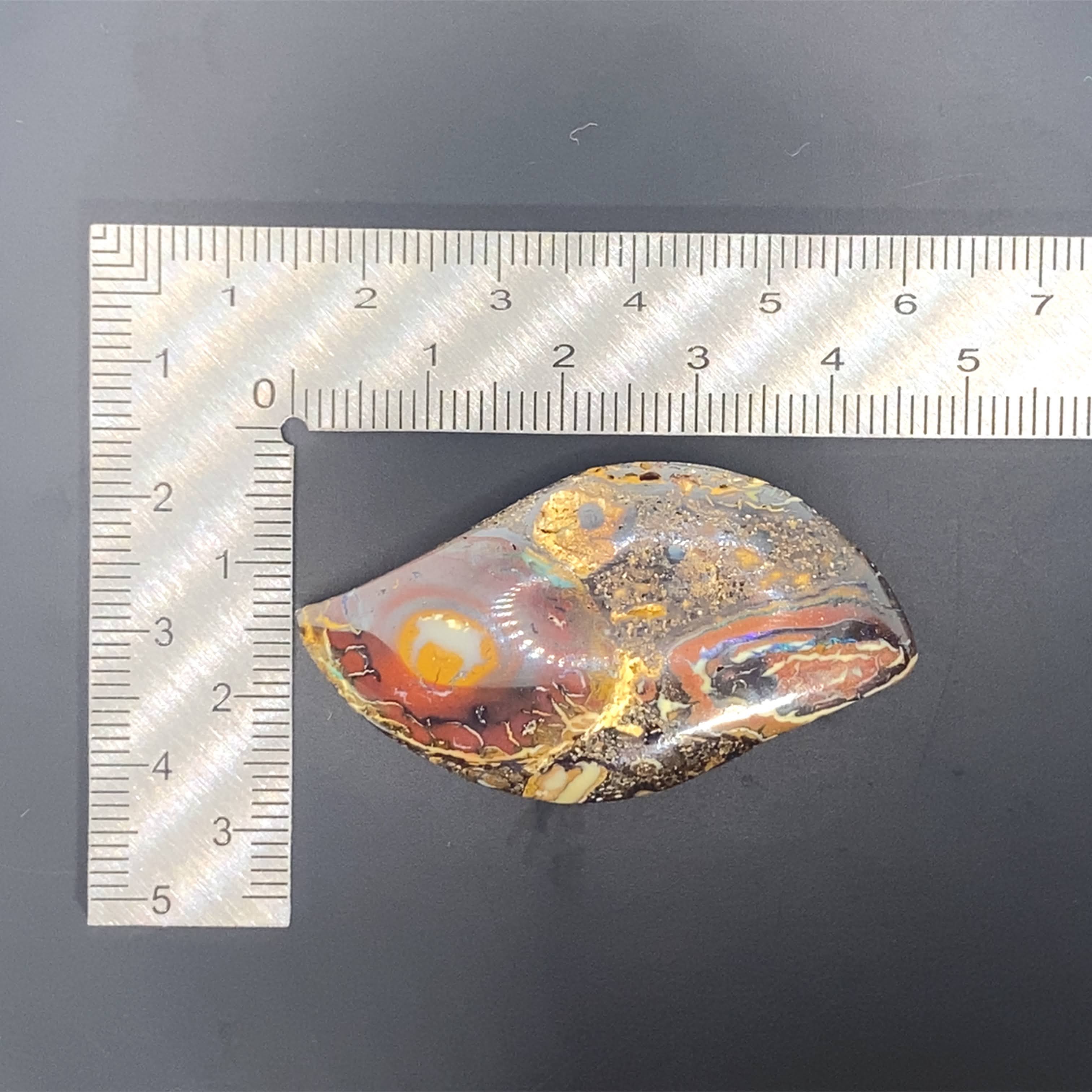 Wild, alive, and one of a kind.