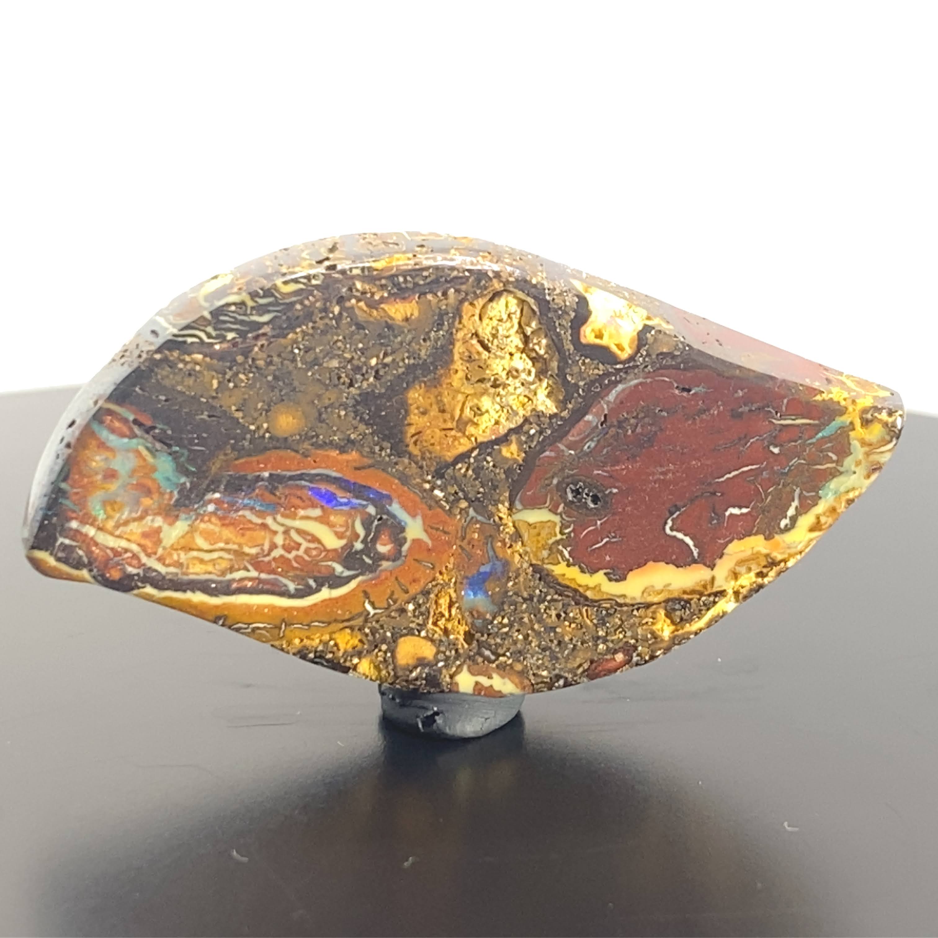 Wild, alive, and one of a kind.