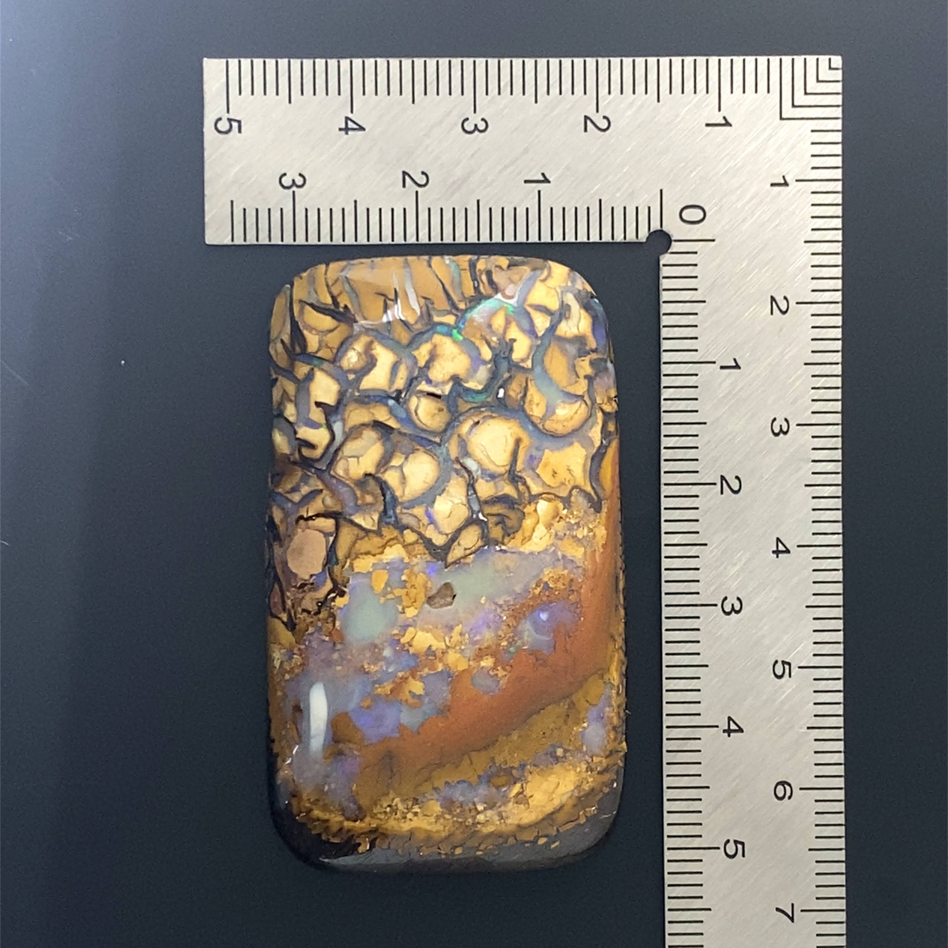 Reef magic in solid form.