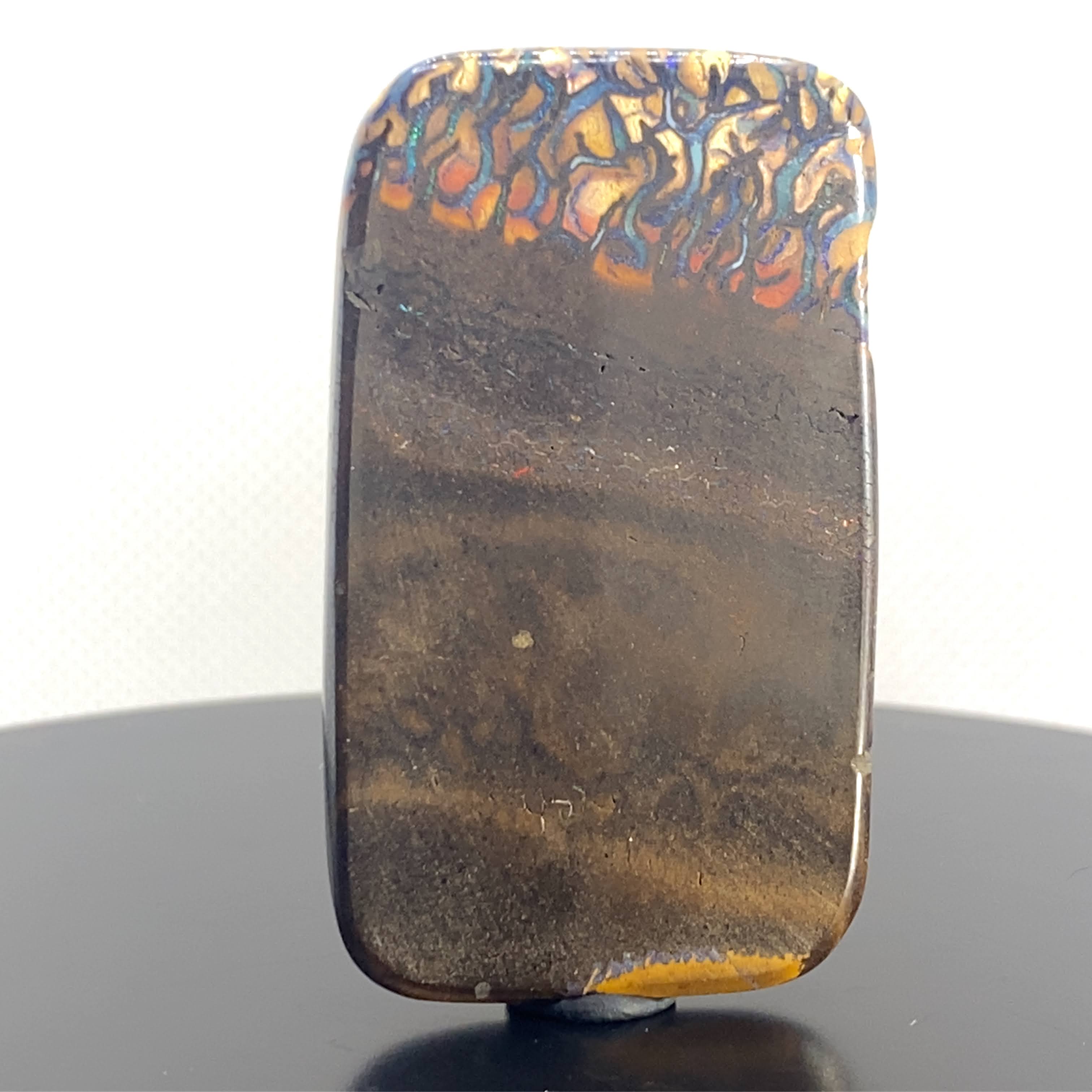 Reef magic in solid form.