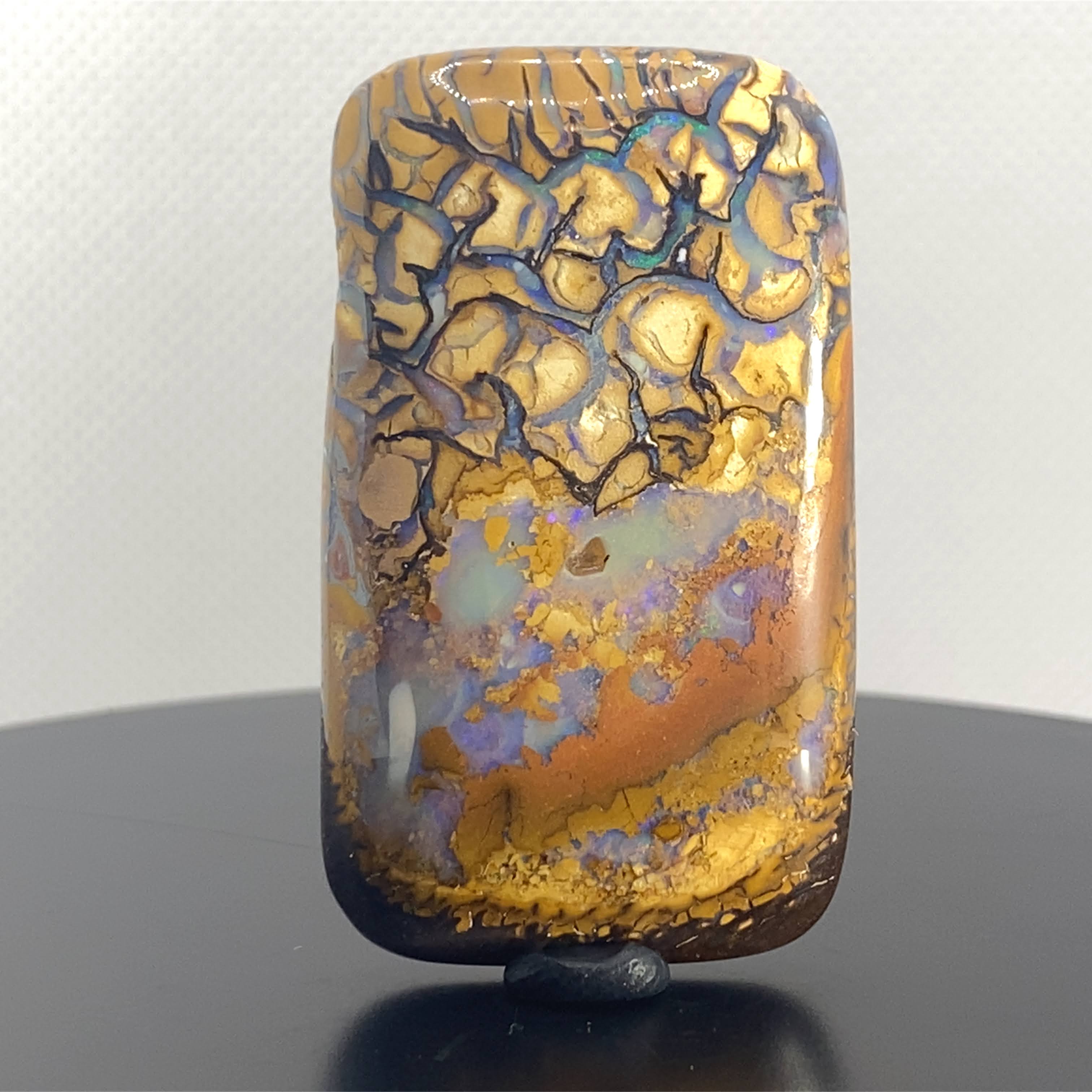 Reef magic in solid form.