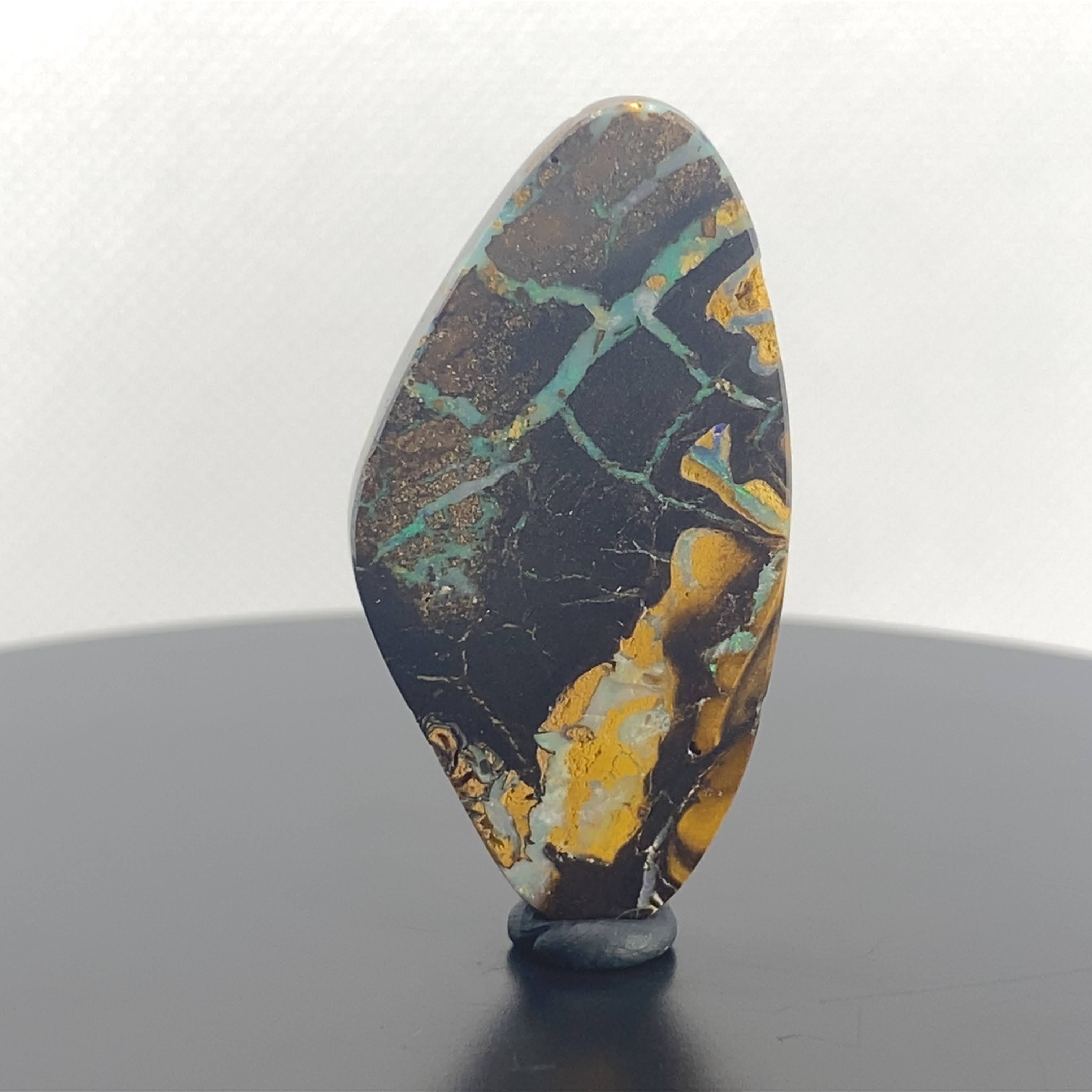 Fragments of wonder.