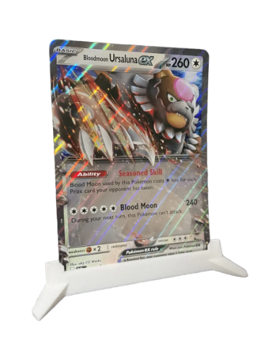 Jumbo Card Holder (x2)