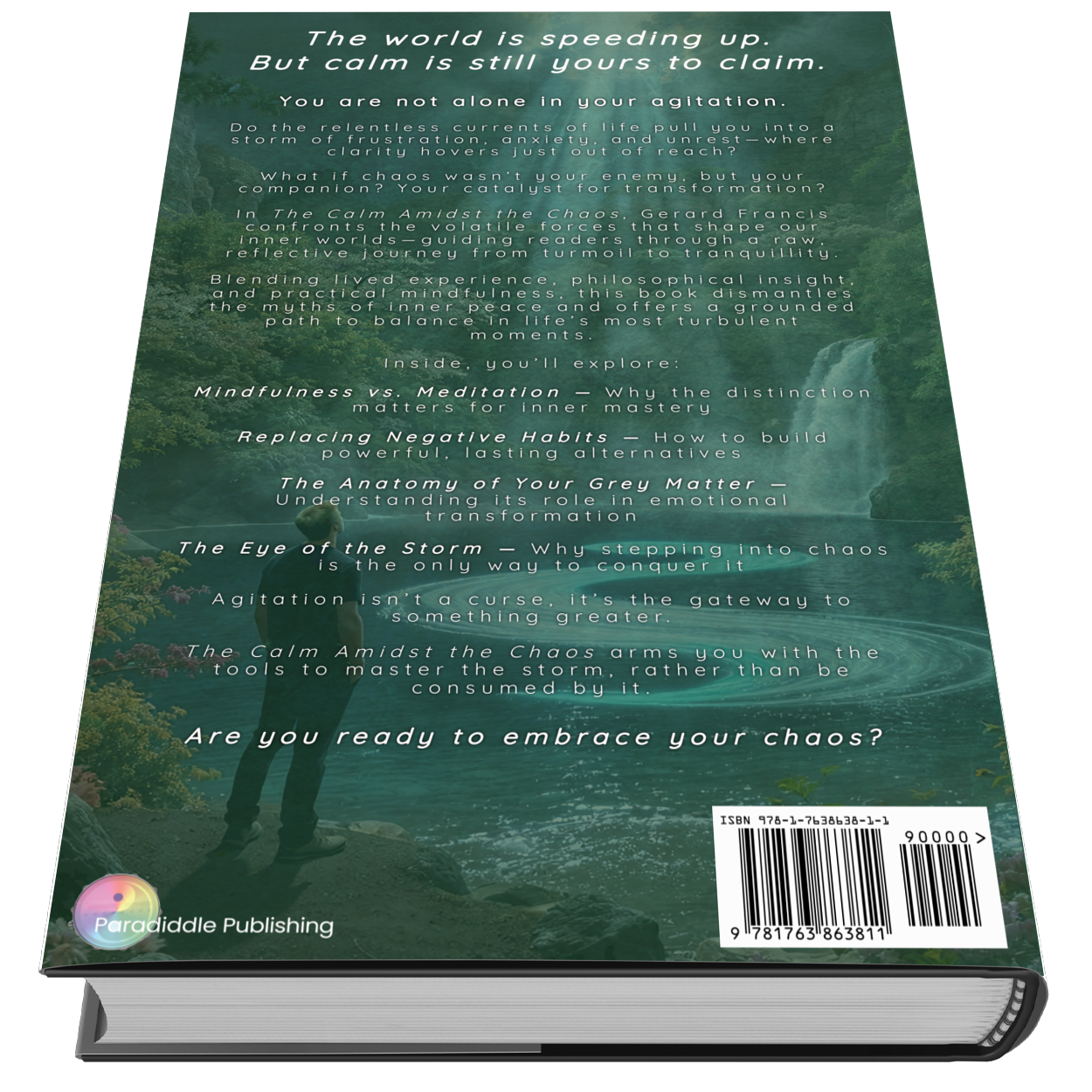 The Calm Amidst the Chaos - eBook