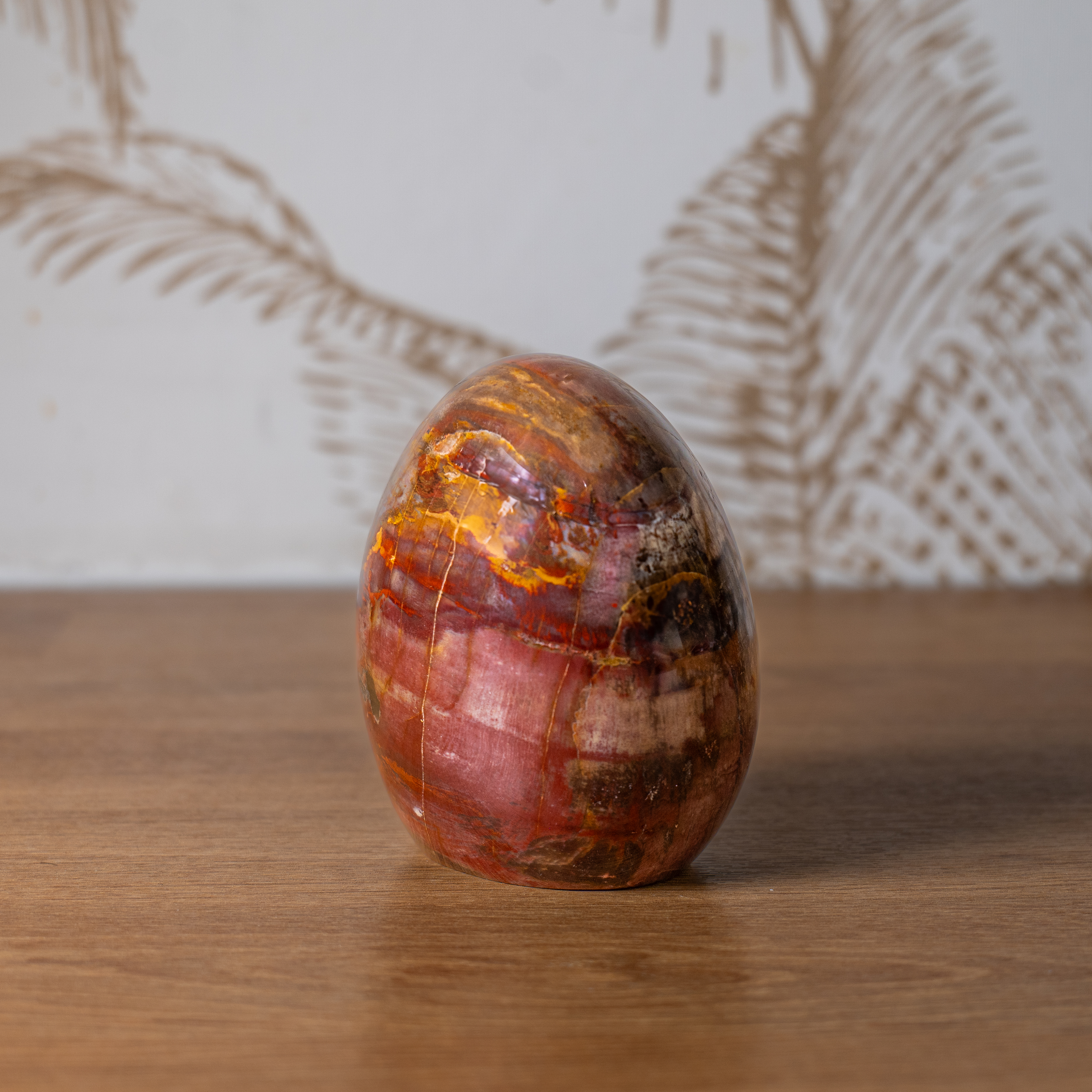 Forme Libre - Bois Fossile