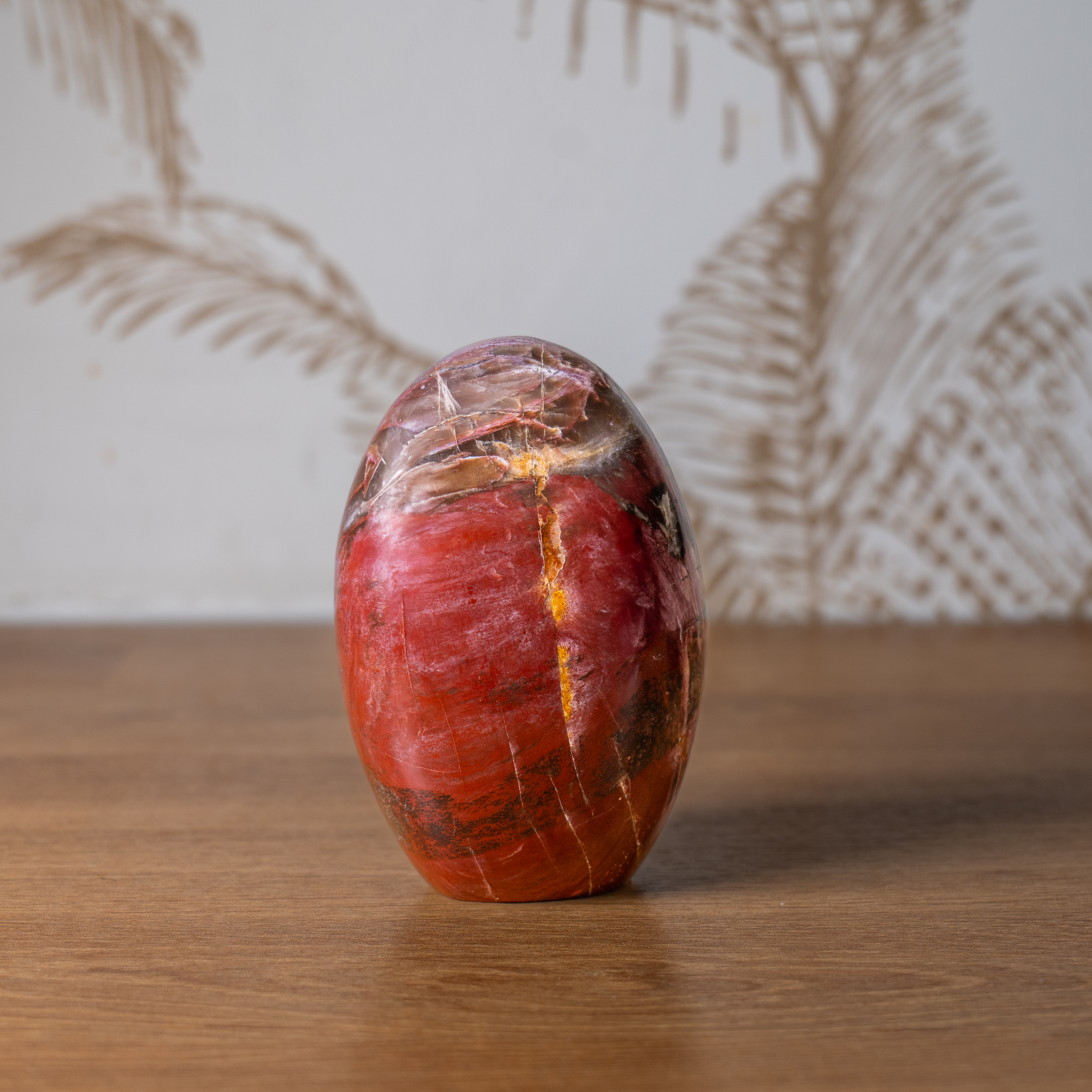 Forme Libre - Bois Fossile