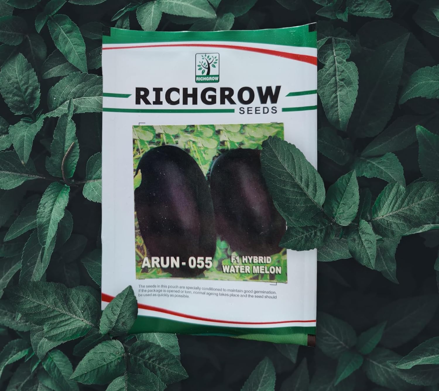 Watermelon Seeds (Variety -Arun 055) (F1 Hybrid)