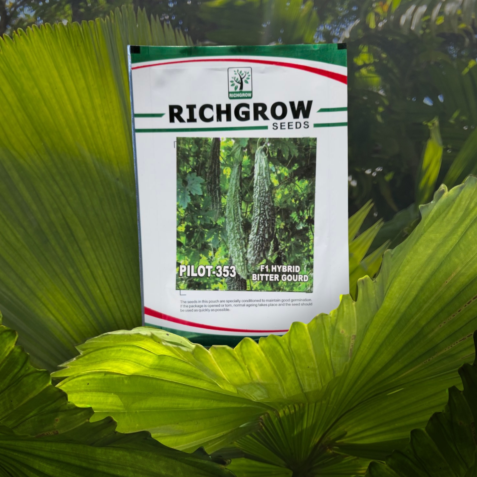Bitter Gourd Seeds (Variety - Pilot 353)  (F1 Hybrid)