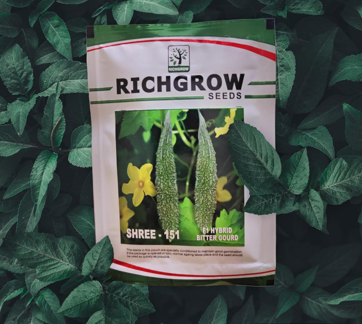 Bitter Gourd Seeds (Variety - Shree 151) (F1 Hybrid)