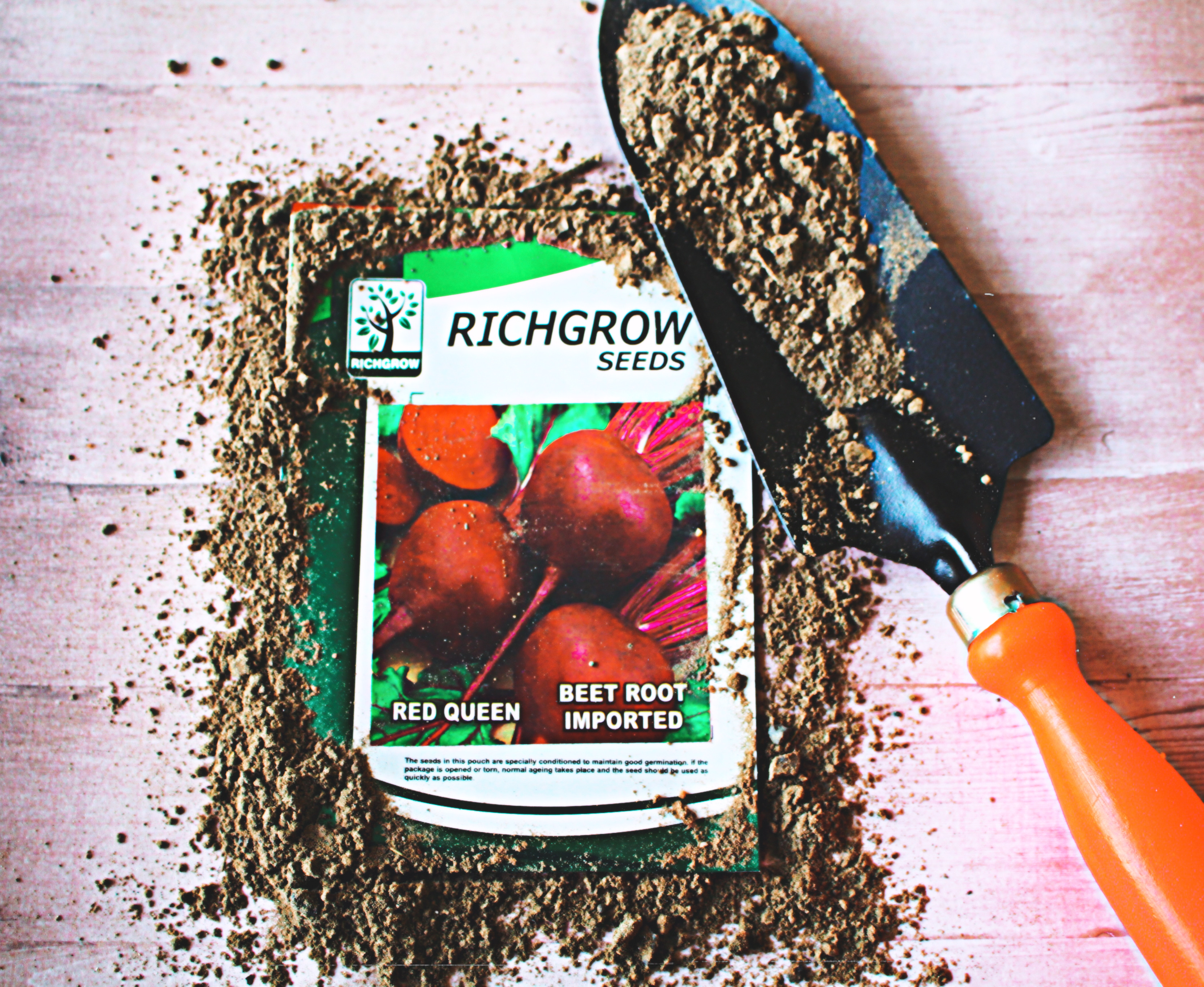 Beet-Root Seeds (Variety - Red Queen) (Open Pollinated)