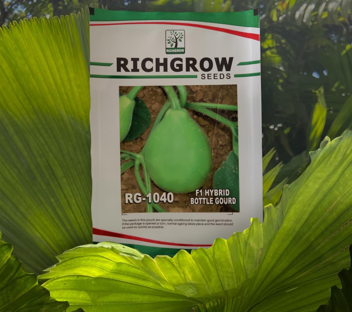 Bottle Gourd Seeds (Variety - RG 1040) (F1 Hybrid)