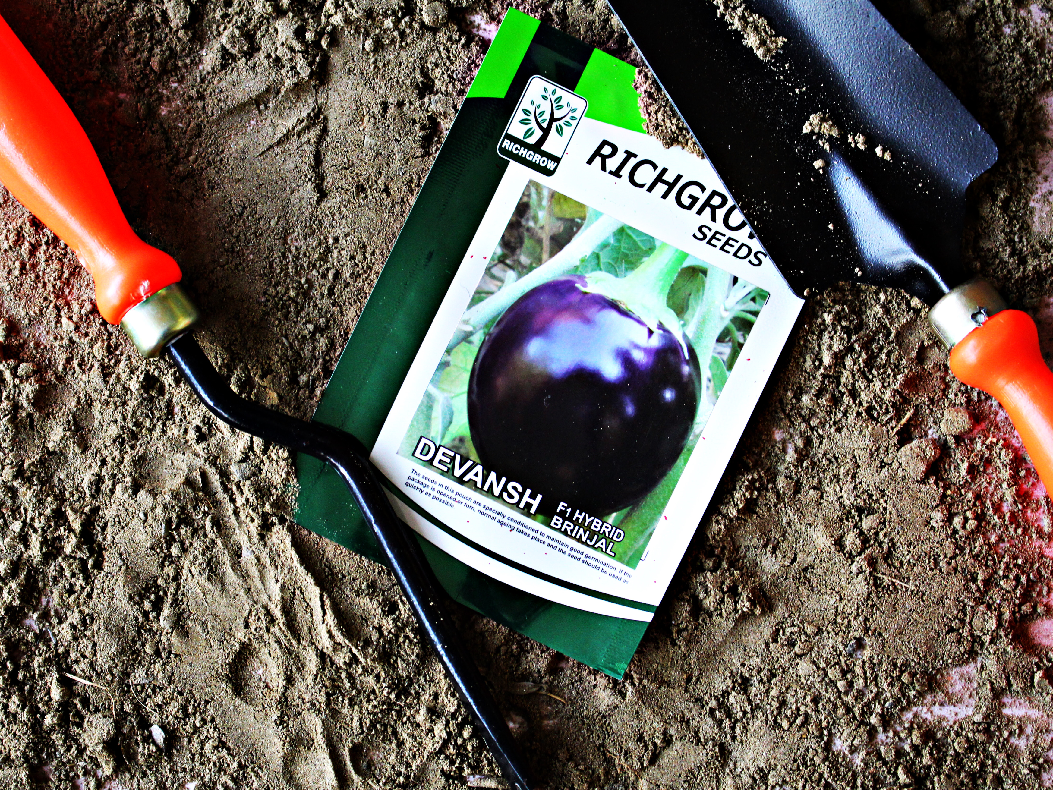 Brinjal Seeds (Variety - Devansh) (F1 Hybrid)