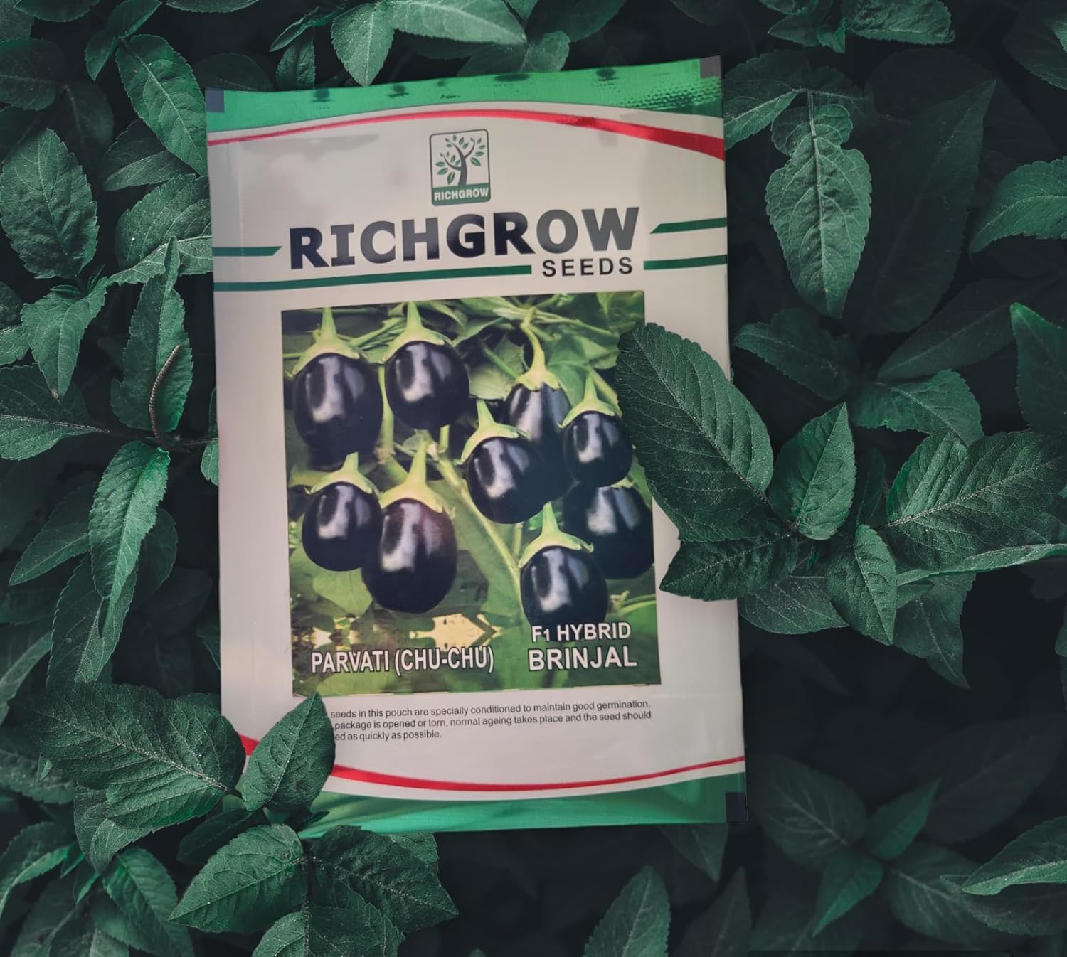 Brinjal Seeds (Variety - Parvati Chu Chu) (F1 Hybrid)