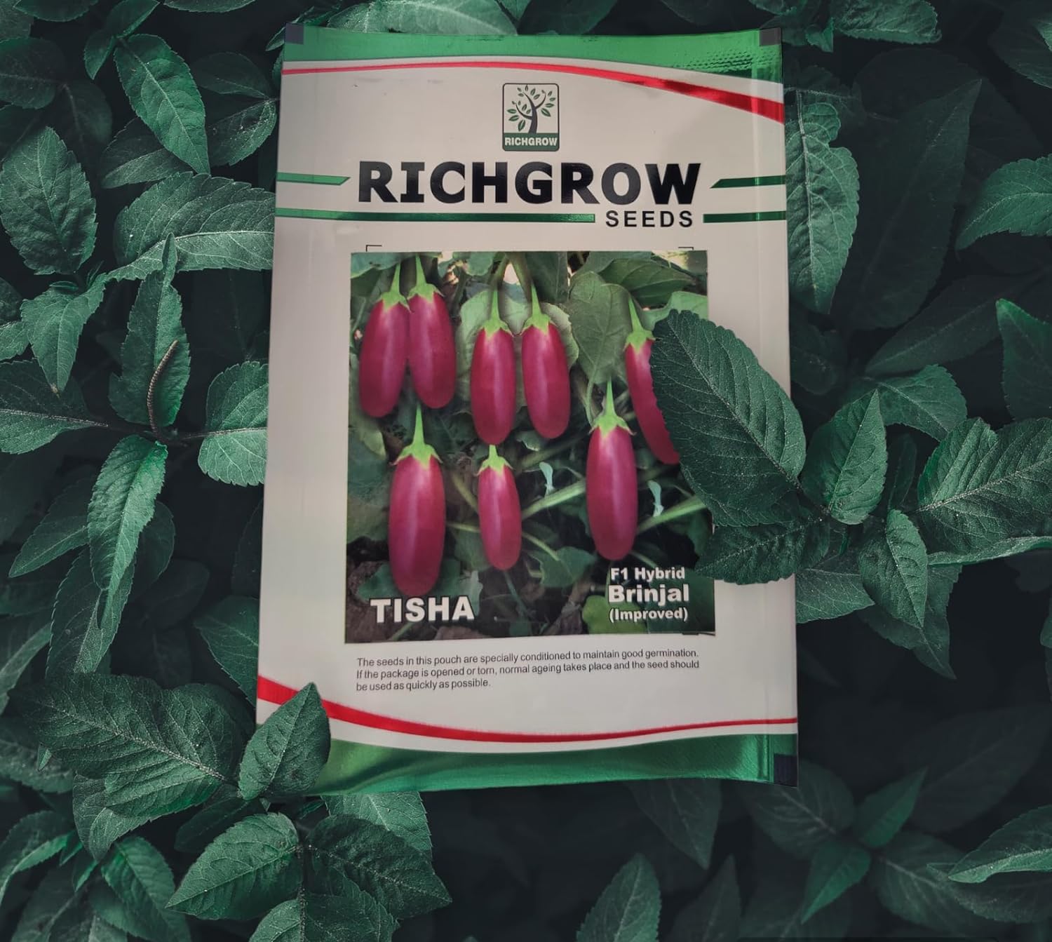 Brinjal Seeds (Variety - Tisha) (F1 Hybrid)