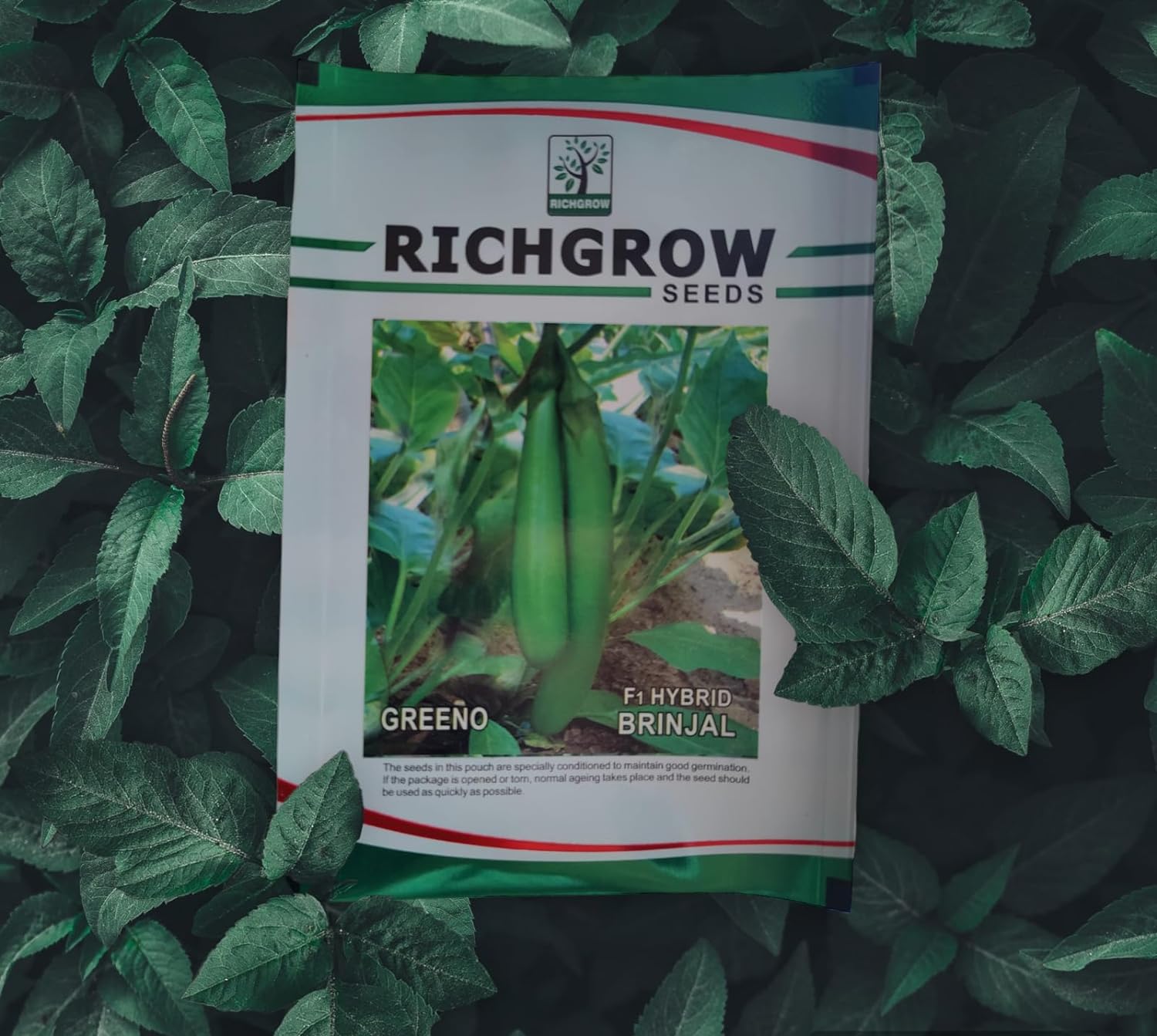 Green Long Brinjal Seeds (F1 Hybrid)