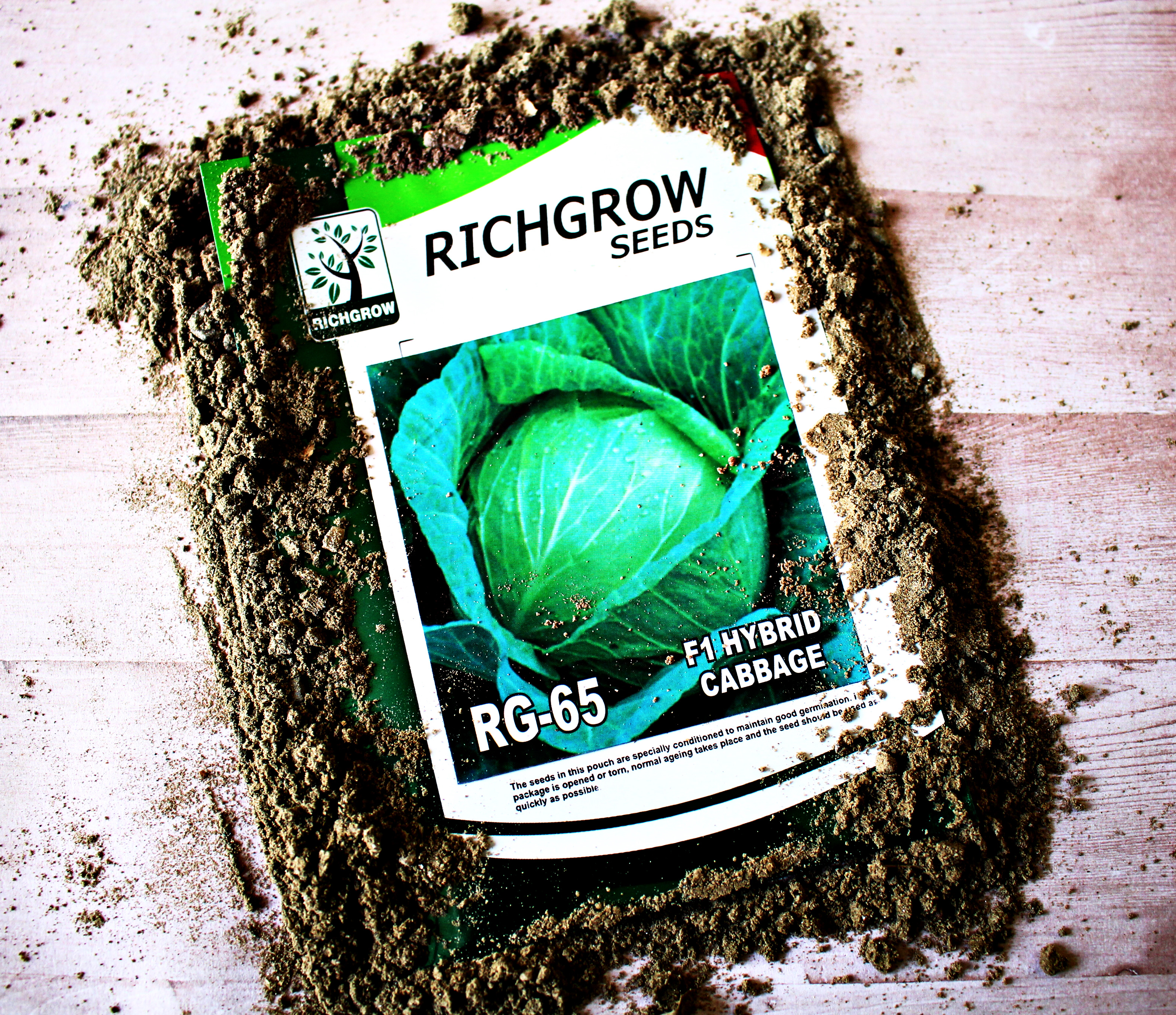 Green Cabbage Seeds (Variety - RG 65) (F1 Hybrid)