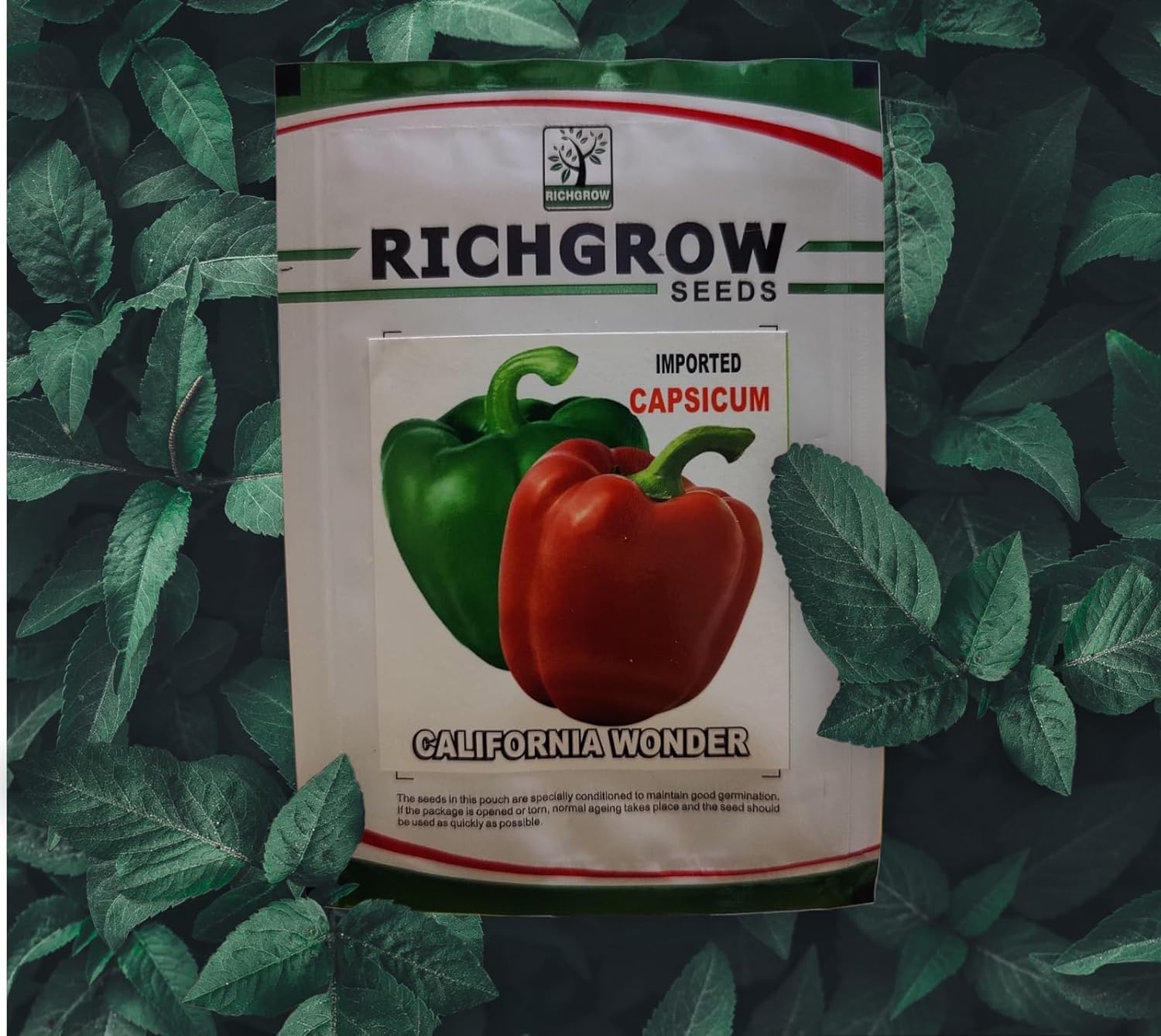 California Wonder Seeds (Capsicum) (Open Pollinated)
