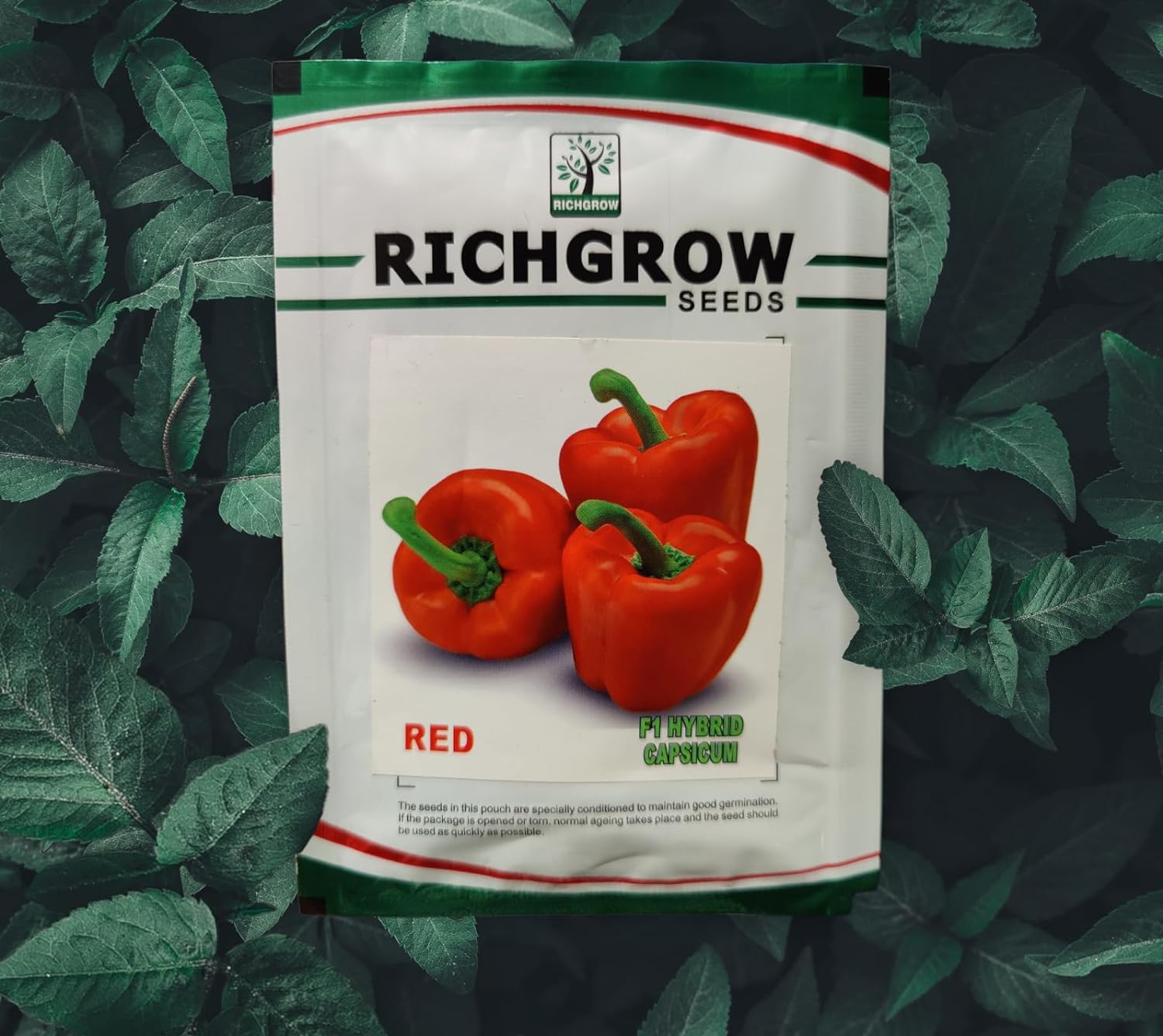 Red Capsicum Seeds (F1 Hybrid)