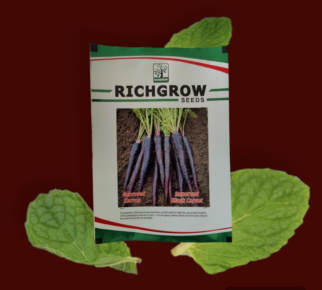 Black Carrot Seeds (Open Pollinated)