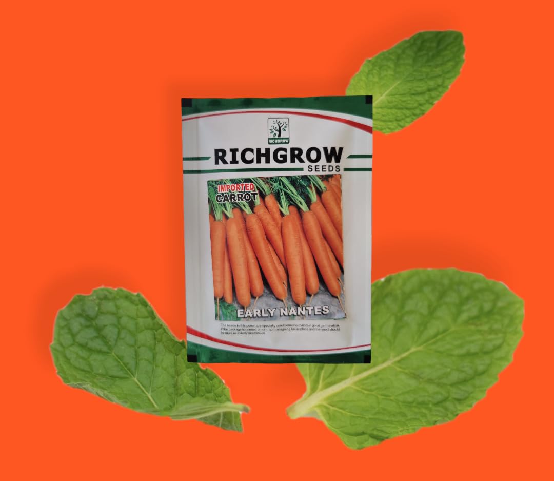 Carrot Seeds (Variety - Early Nantes) (Open Pollinated)