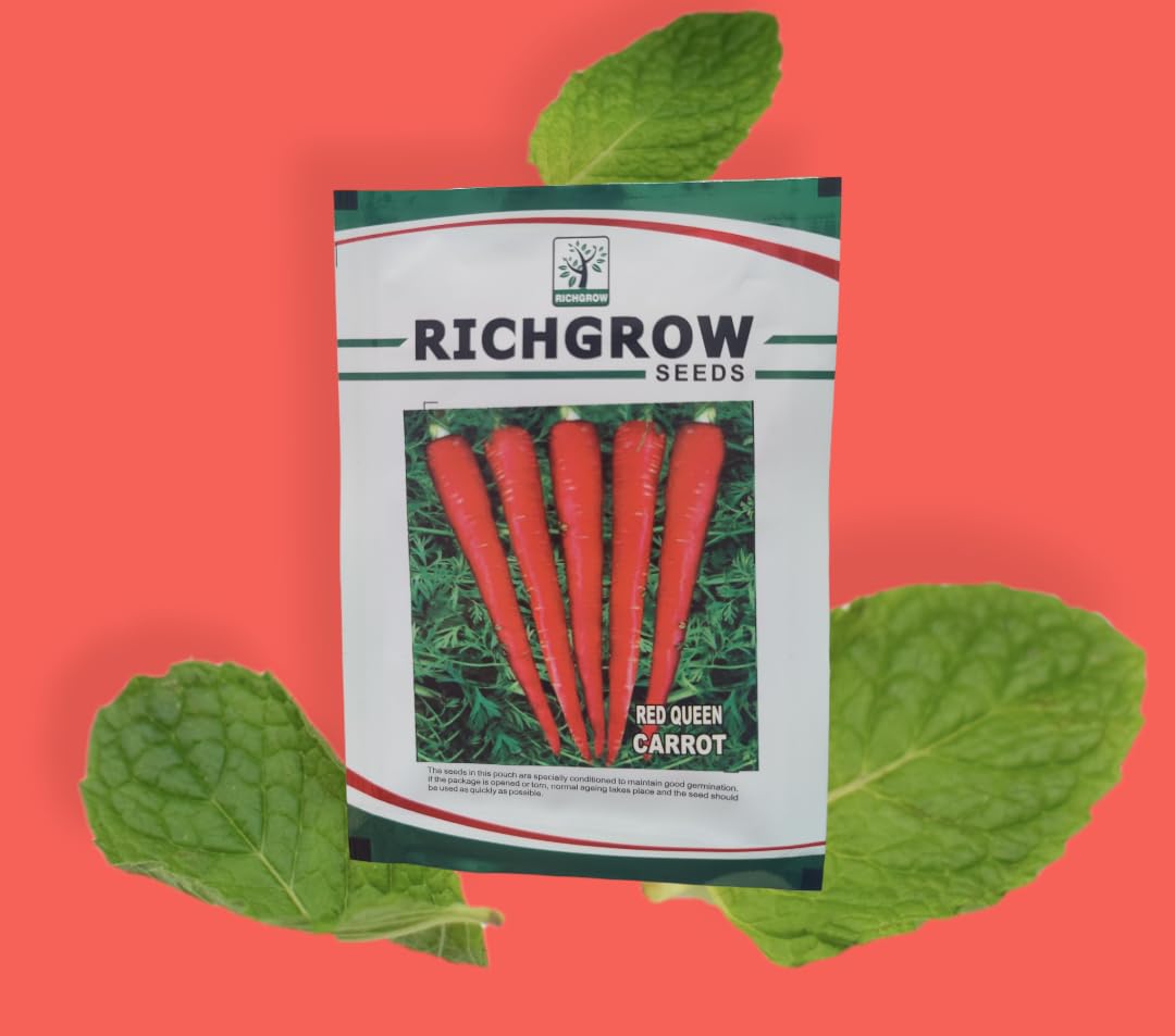 Carrot Seeds (Variety - Red Queen) (Open Pollinated)