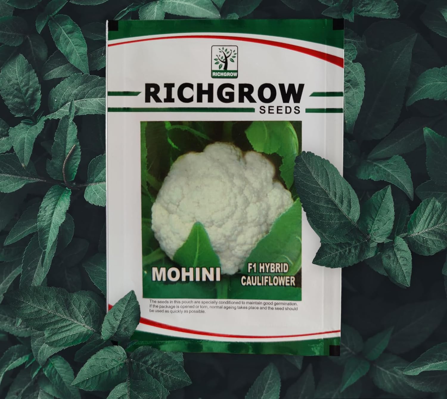 Cauliflower Seeds (Variety - Mohini) (F1 Hybrid)