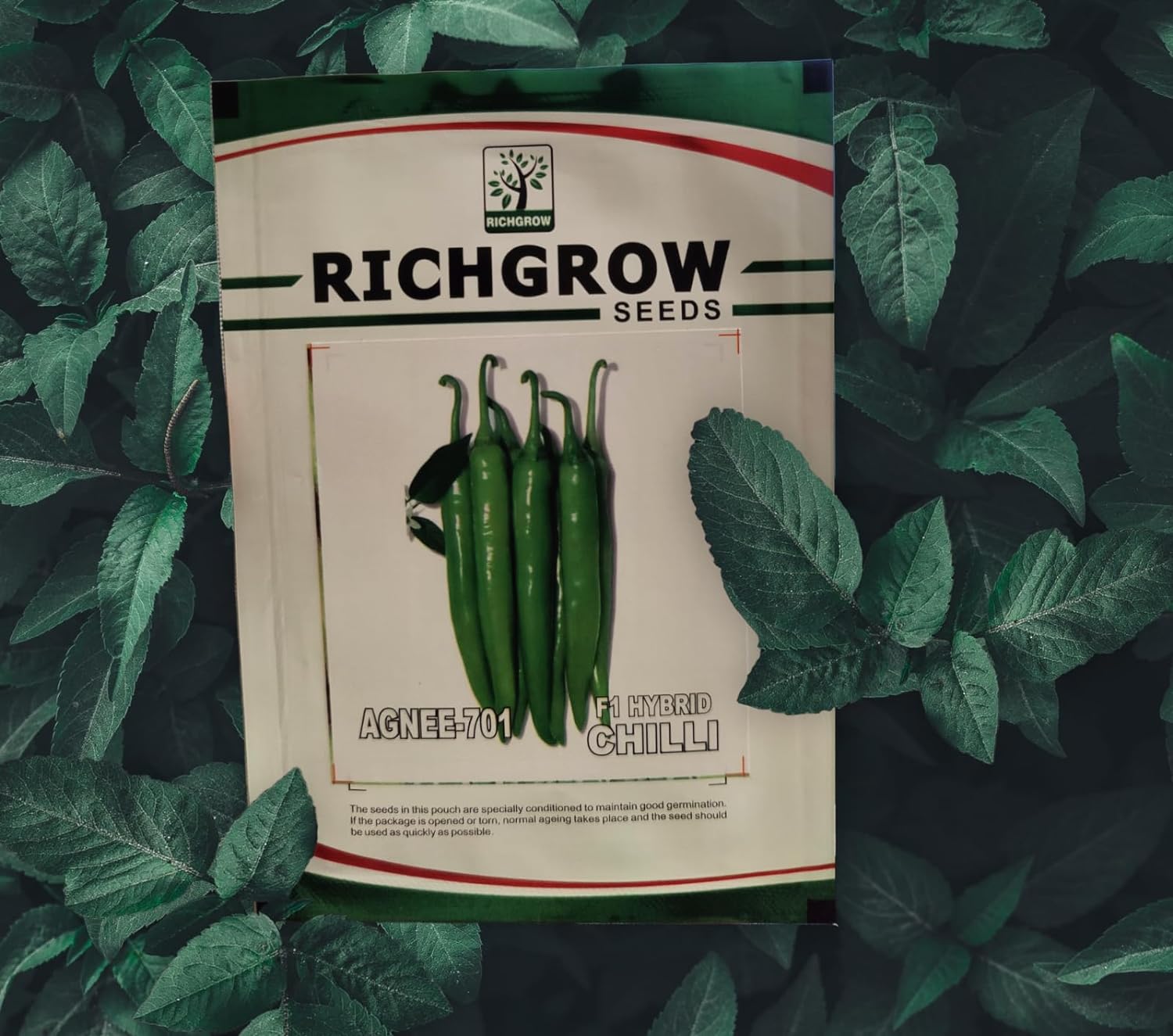 Chilli Seeds (Variety  AGNEE-701) (F1 Hybrid)