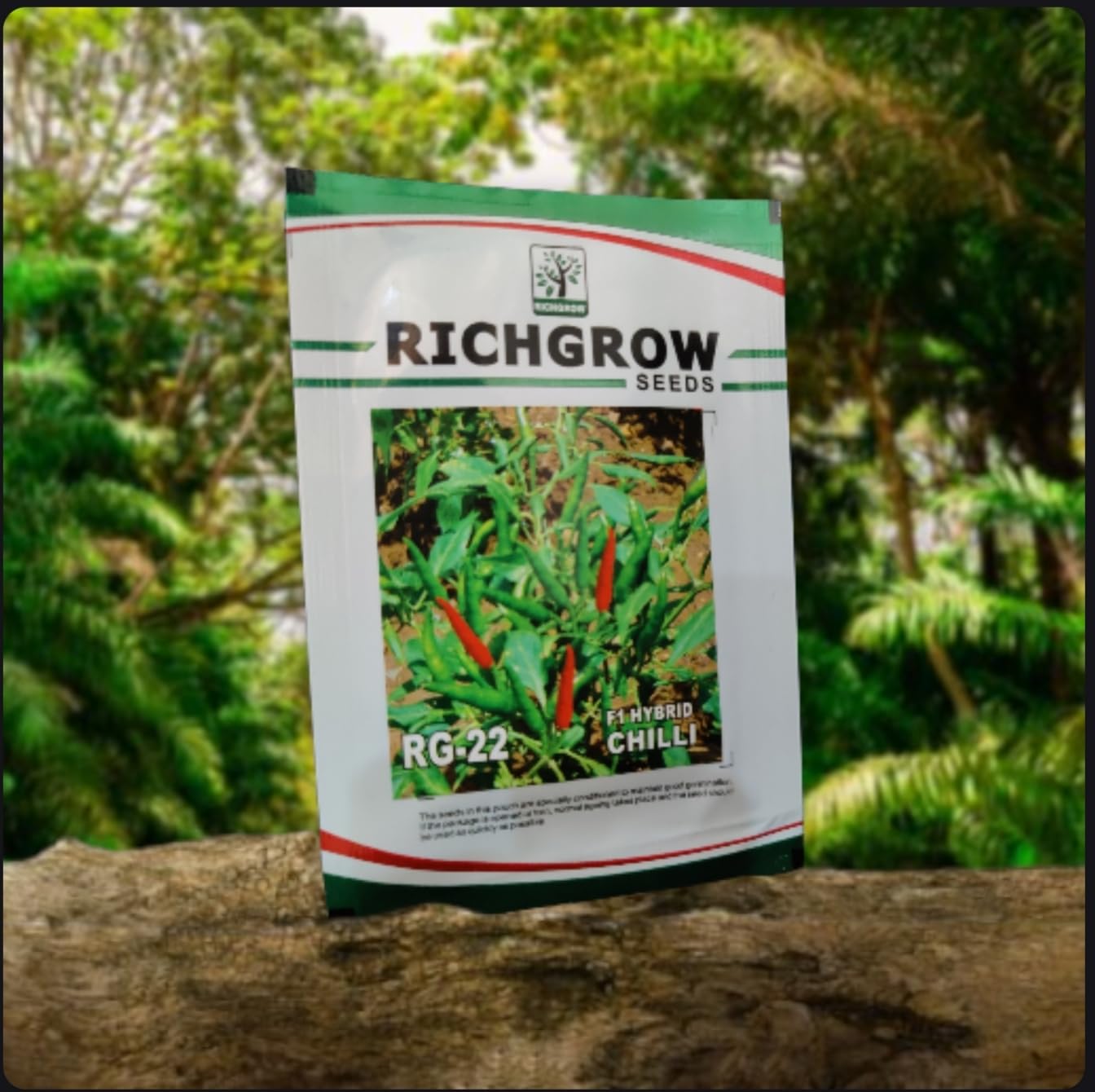 Chilli Seeds (Variety - RG 22) (F1 Hybrid)