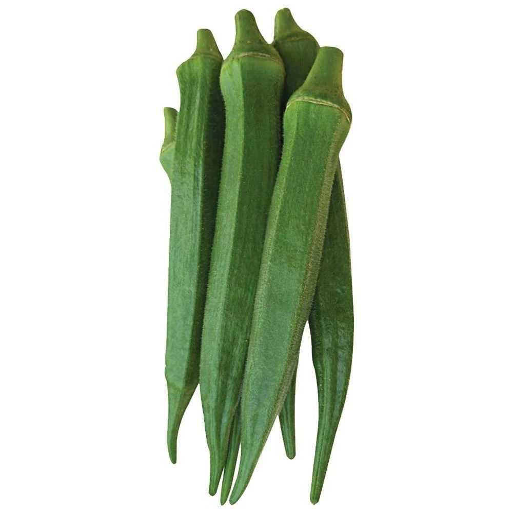 Okra Lady Finger Seeds (Variety - Maharani) (F1 Hybrid)