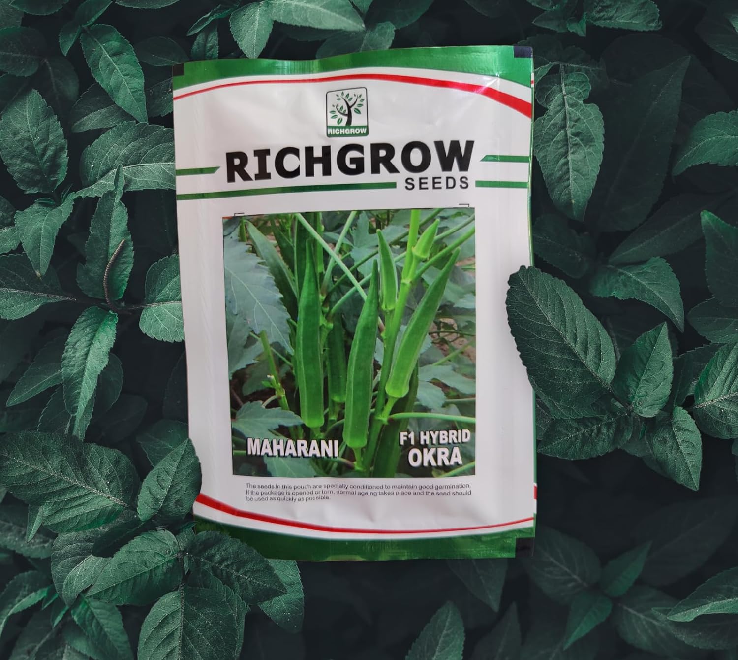 Okra Lady Finger Seeds (Variety - Maharani) (F1 Hybrid)