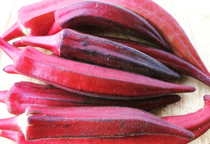 Okra Red Lady Finger Seeds (F1 Hybrid)