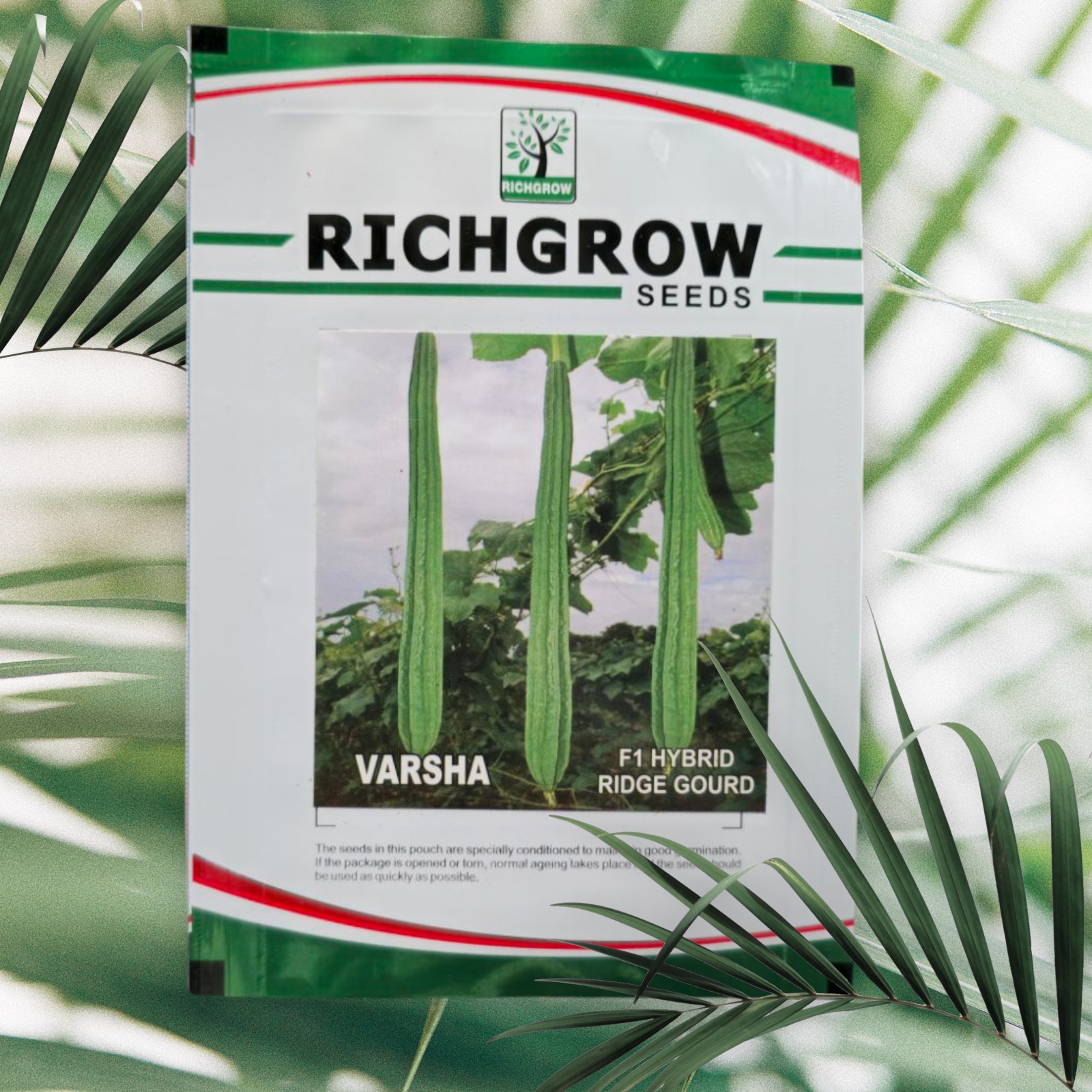 Ridge Gourd Seeds (F1 Hybrid)