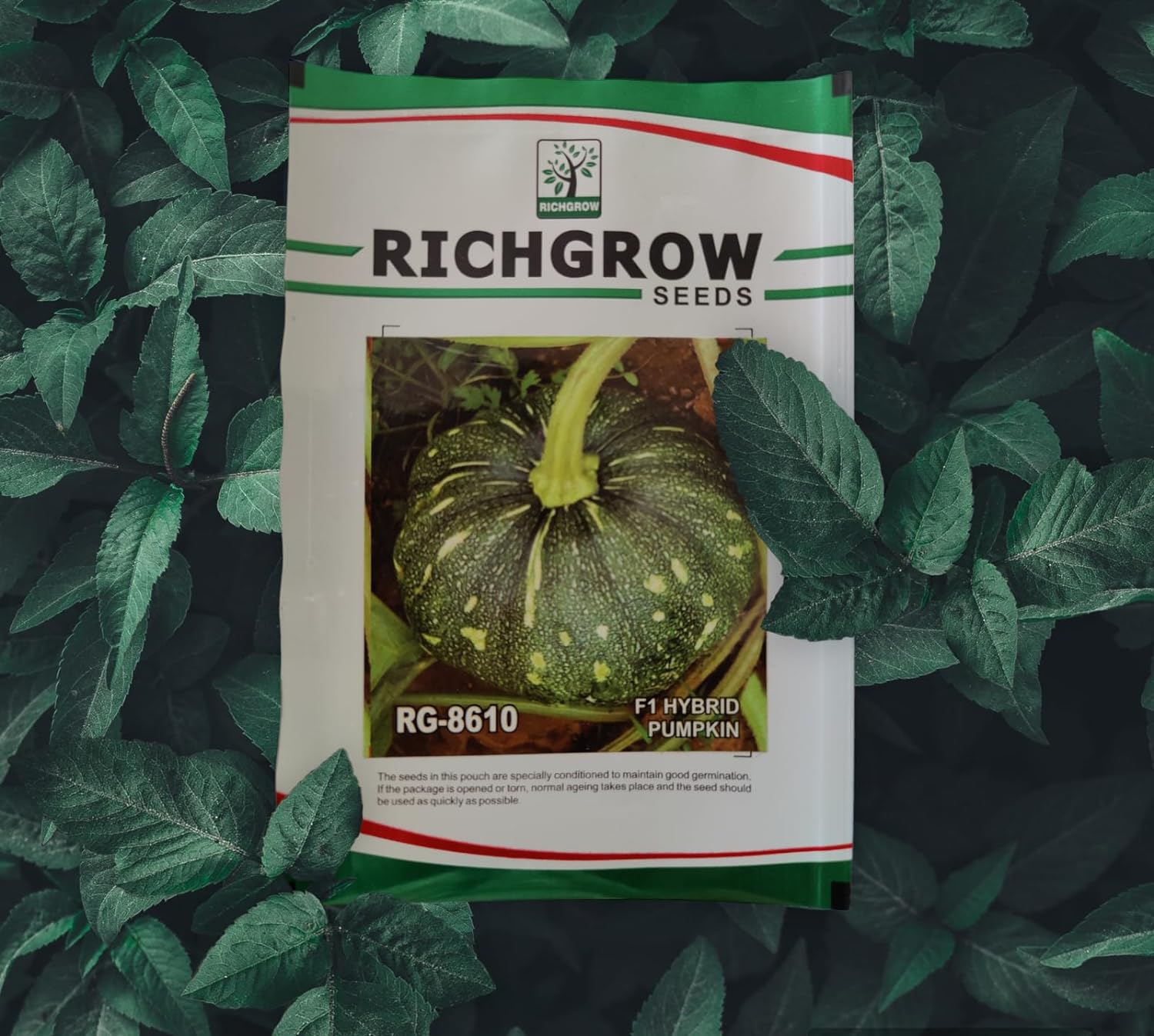 Winter Squash (Round Pumpkin Seeds) (F1 Hybrid)