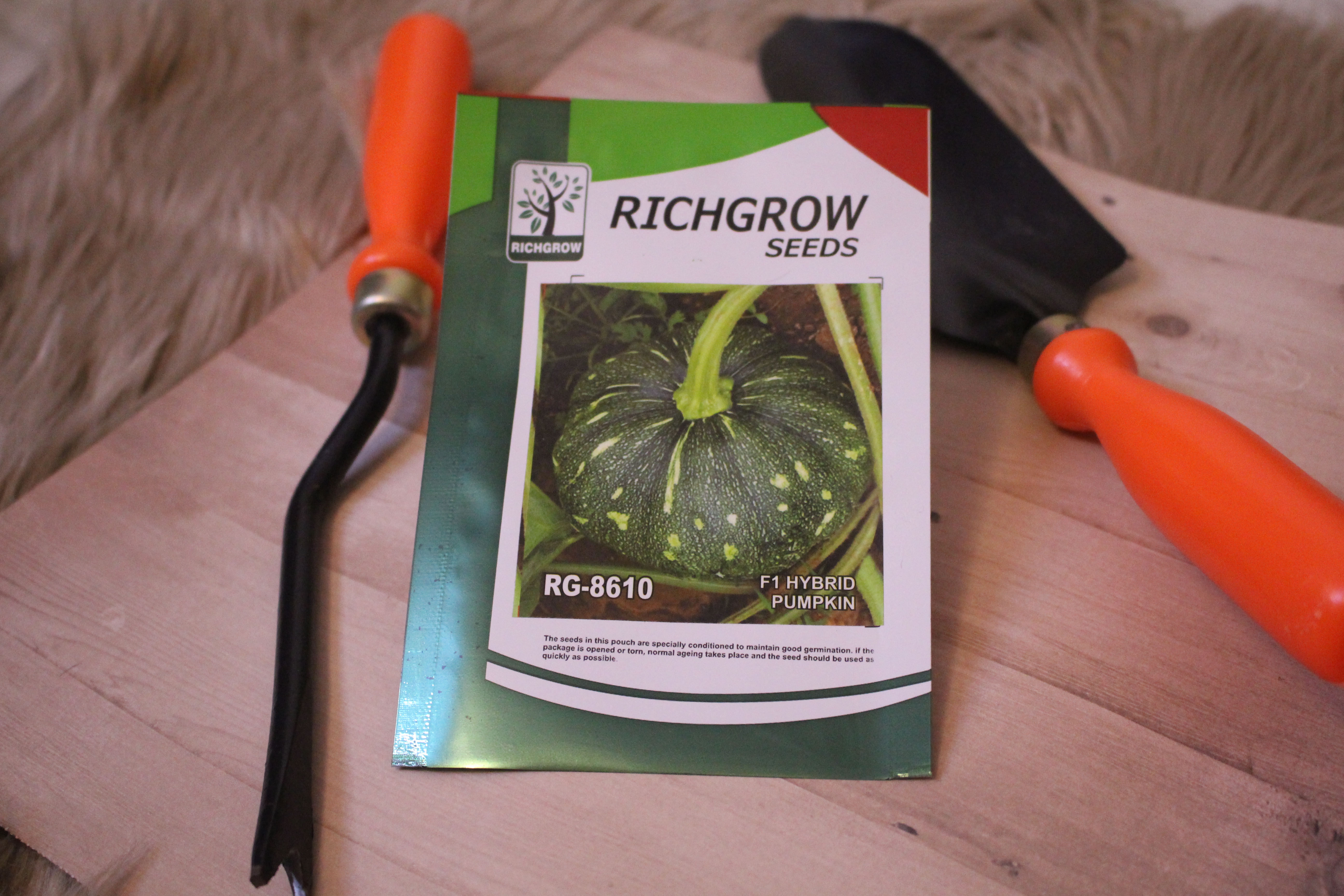 Winter Squash (Round Pumpkin Seeds) (F1 Hybrid)