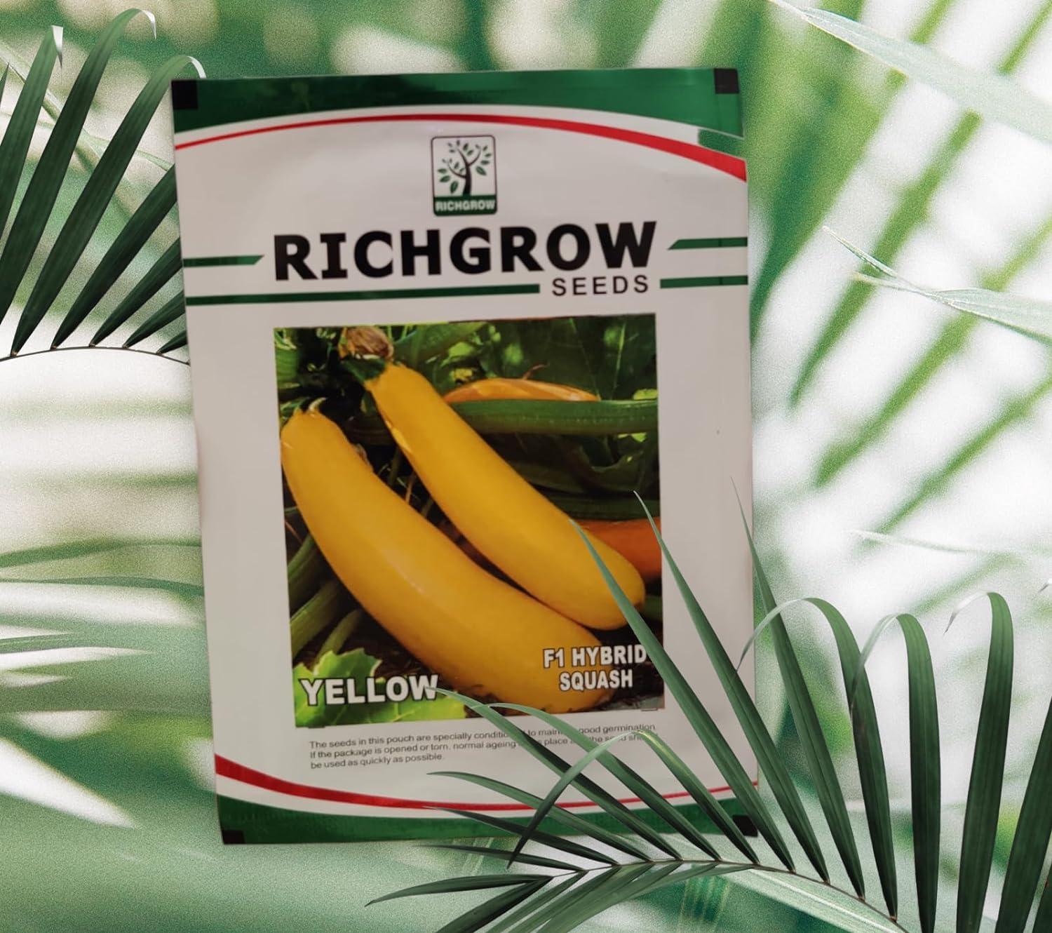 Yellow Squash Seeds (Pumpkin Seeds) (F1 Hybrid)