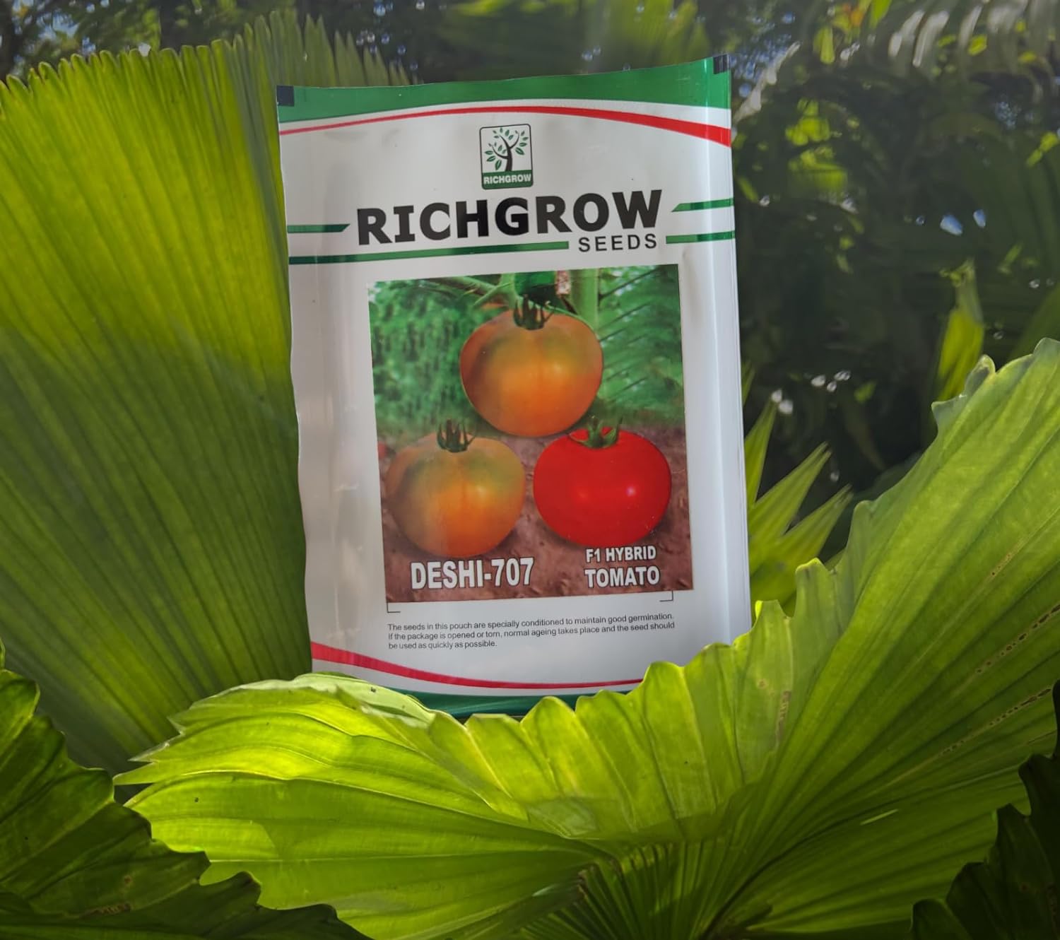Tomato Seeds (Variety - Deshi-707) (F1 Hybrid)