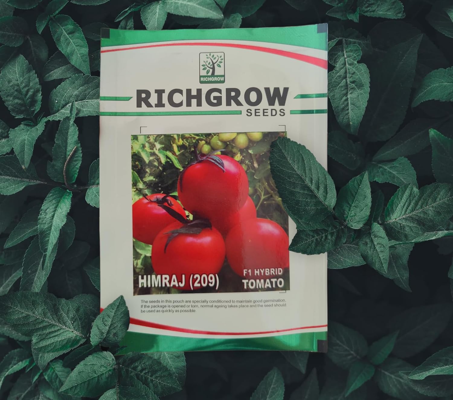 Tomato Seeds (Variety - Himraj 209) (F1 Hybrid)