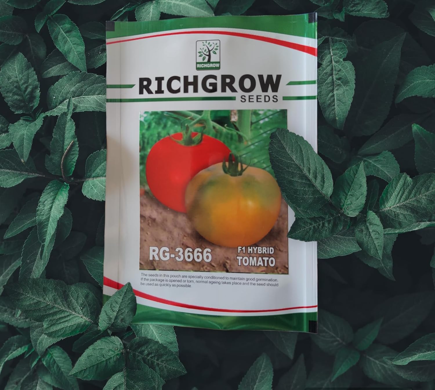 Tomato Seeds (Variety - RG-3666) (F1 Hybrid)