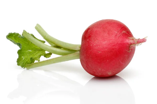 Red Turnip Seeds (Open Pollinated)