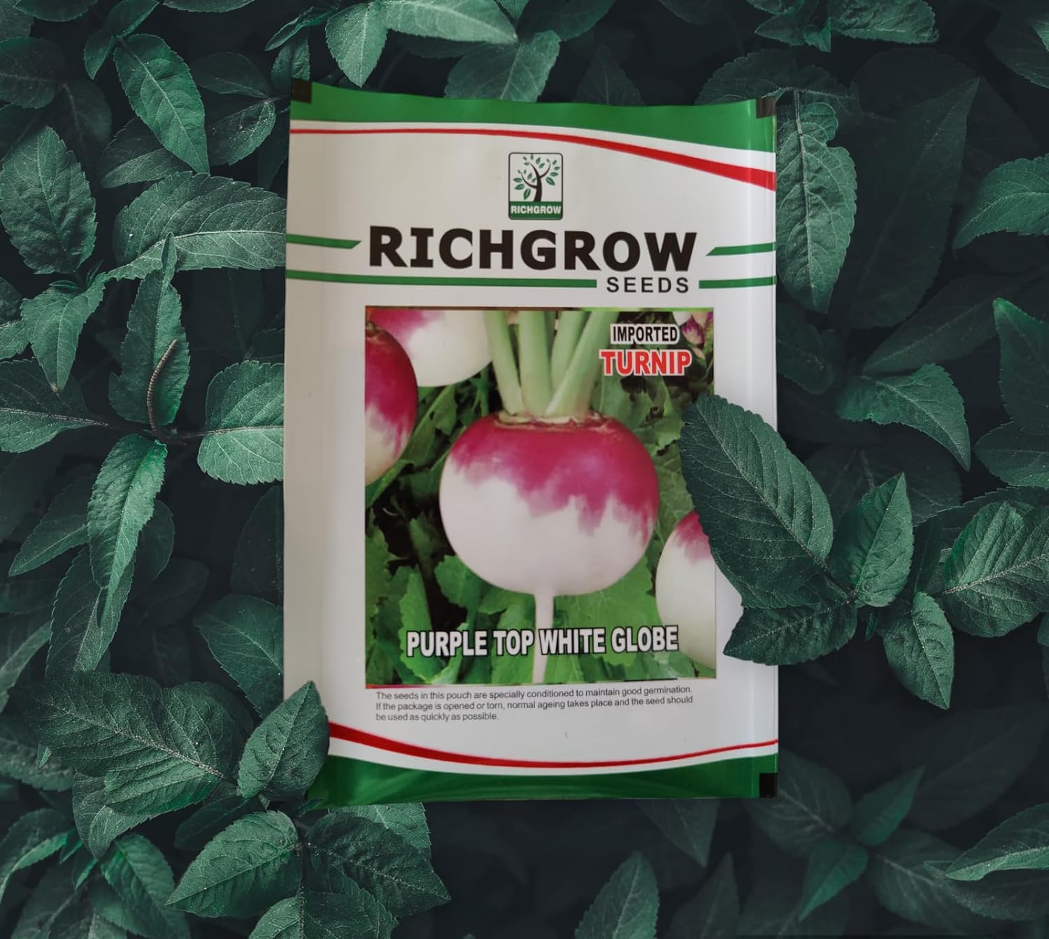 White Turnip Seeds (Open Pollinated)